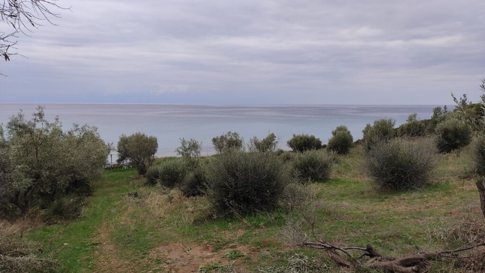 Γη σε Νέας Καλλικράτειας, Κεντρική Μακεδονία 11511084