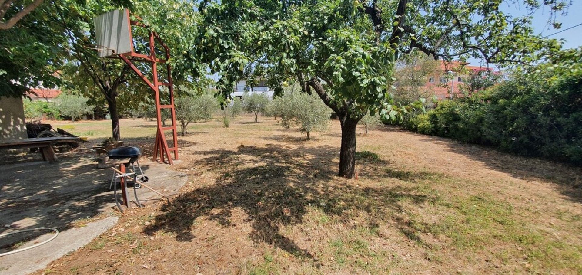 Land in Agios Mamas,  11511115