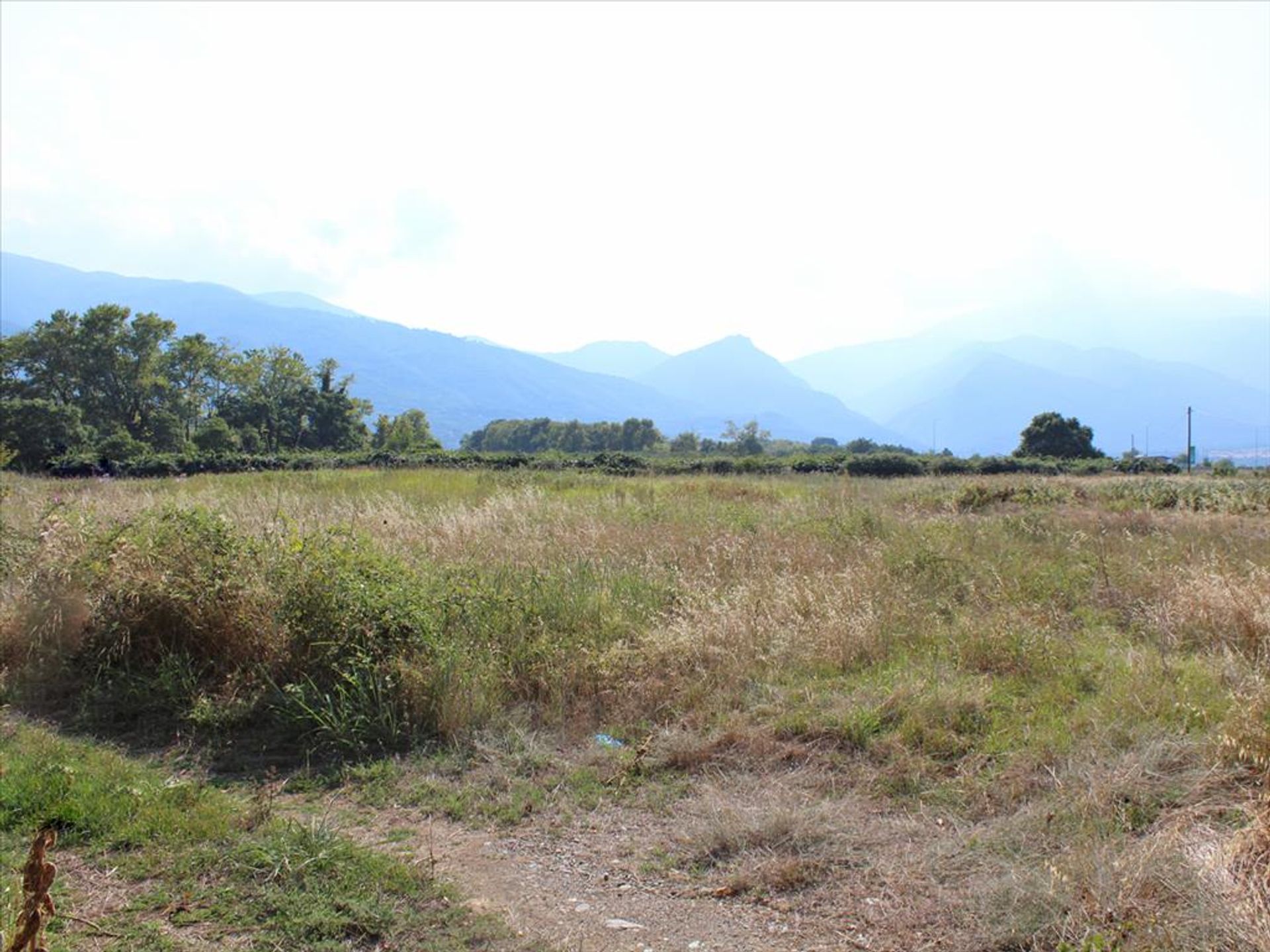 Tierra en Paralia Panteleimonas, Kentriki Macedonia 11511275