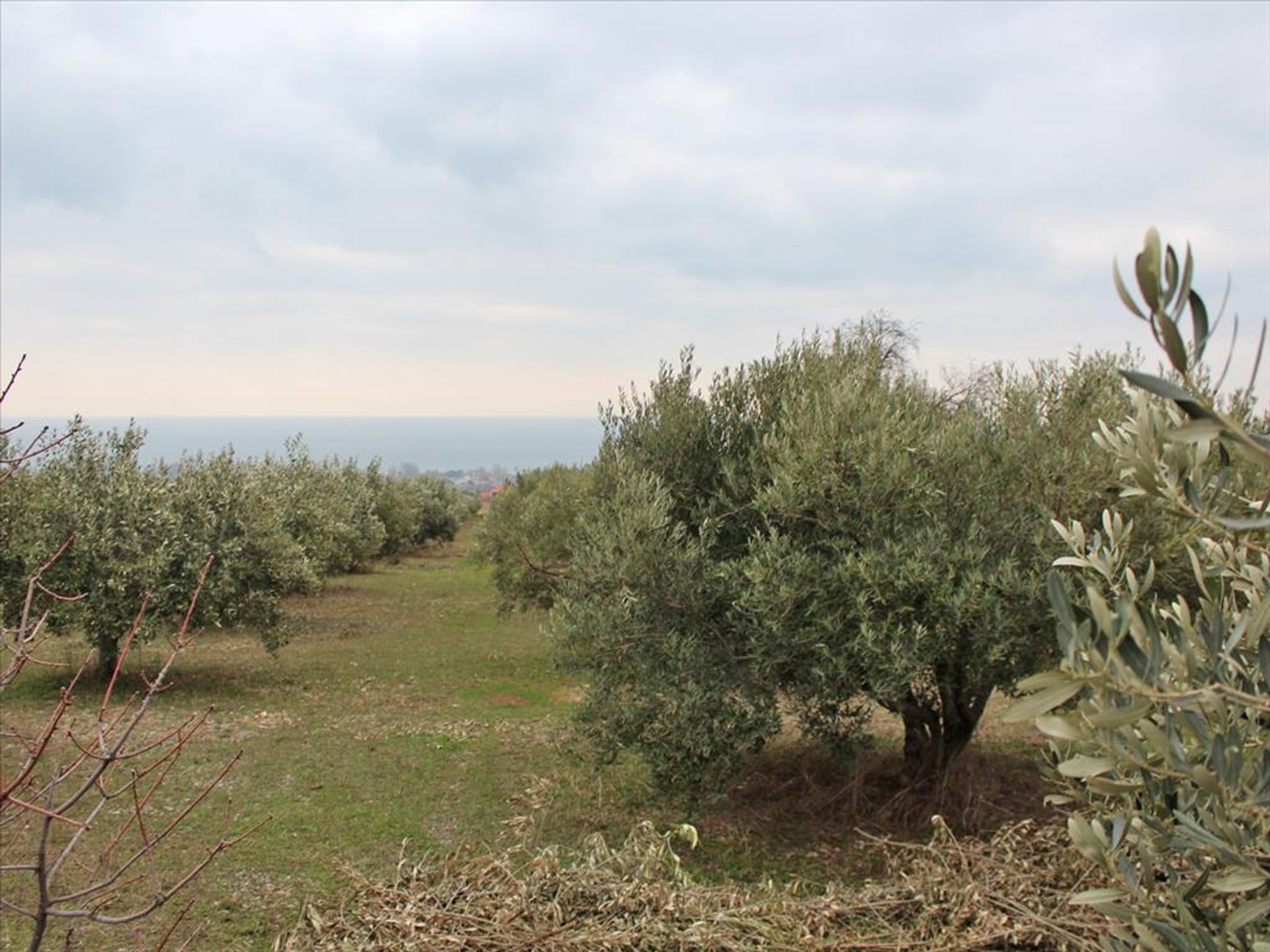 Tierra en Leptokaria, Kentriki Macedonia 11511383