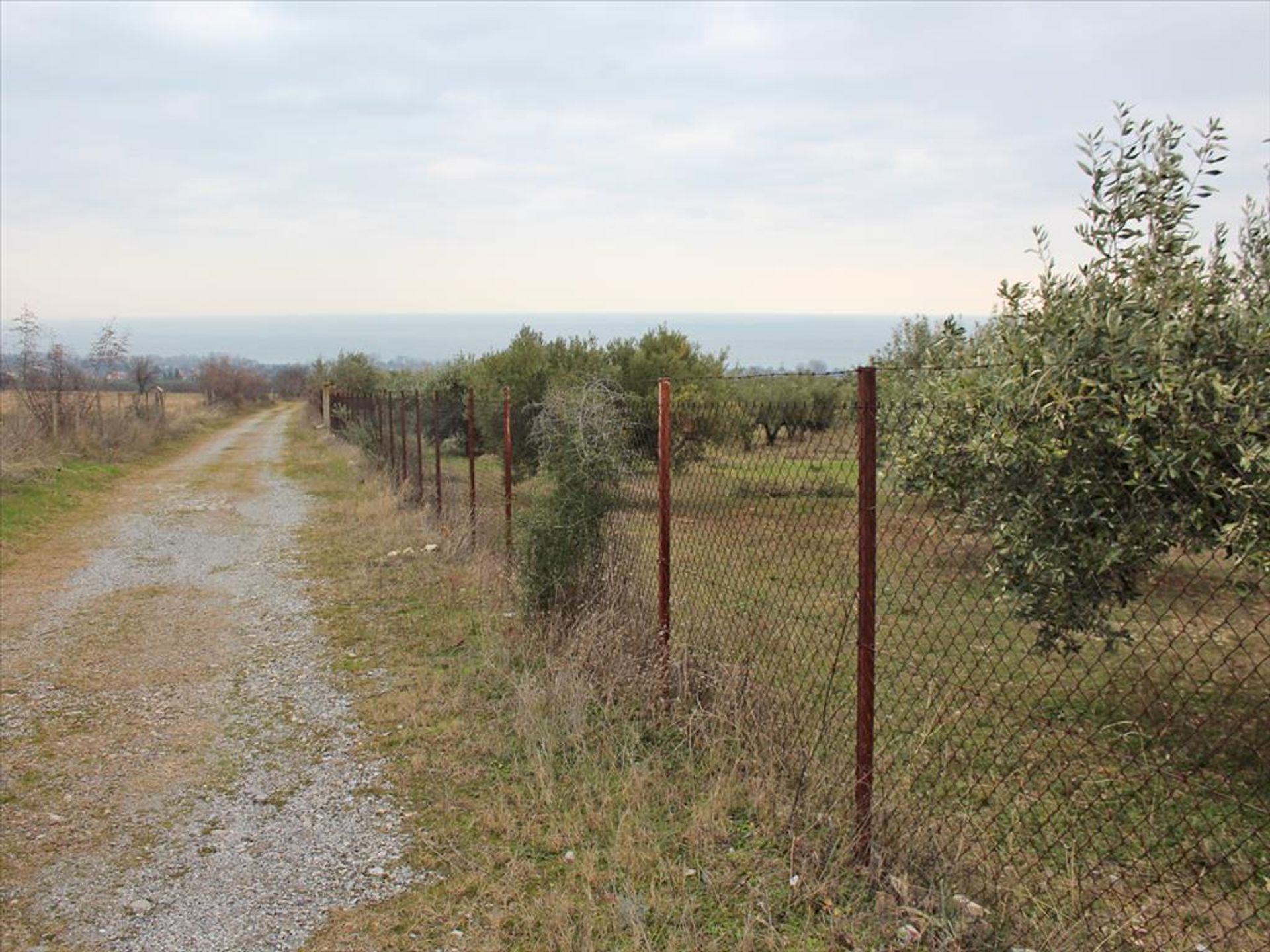 Tanah di Leptokarya, Kentriki Makedonia 11511391