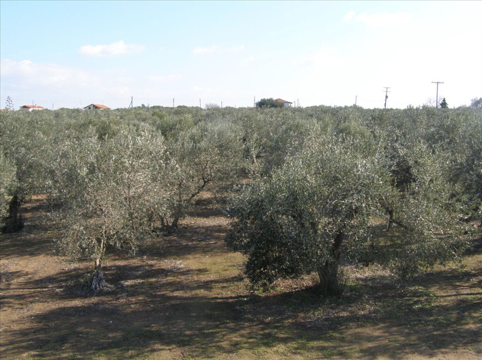 Γη σε Νέας Καλλικράτειας, Κεντρική Μακεδονία 11511493