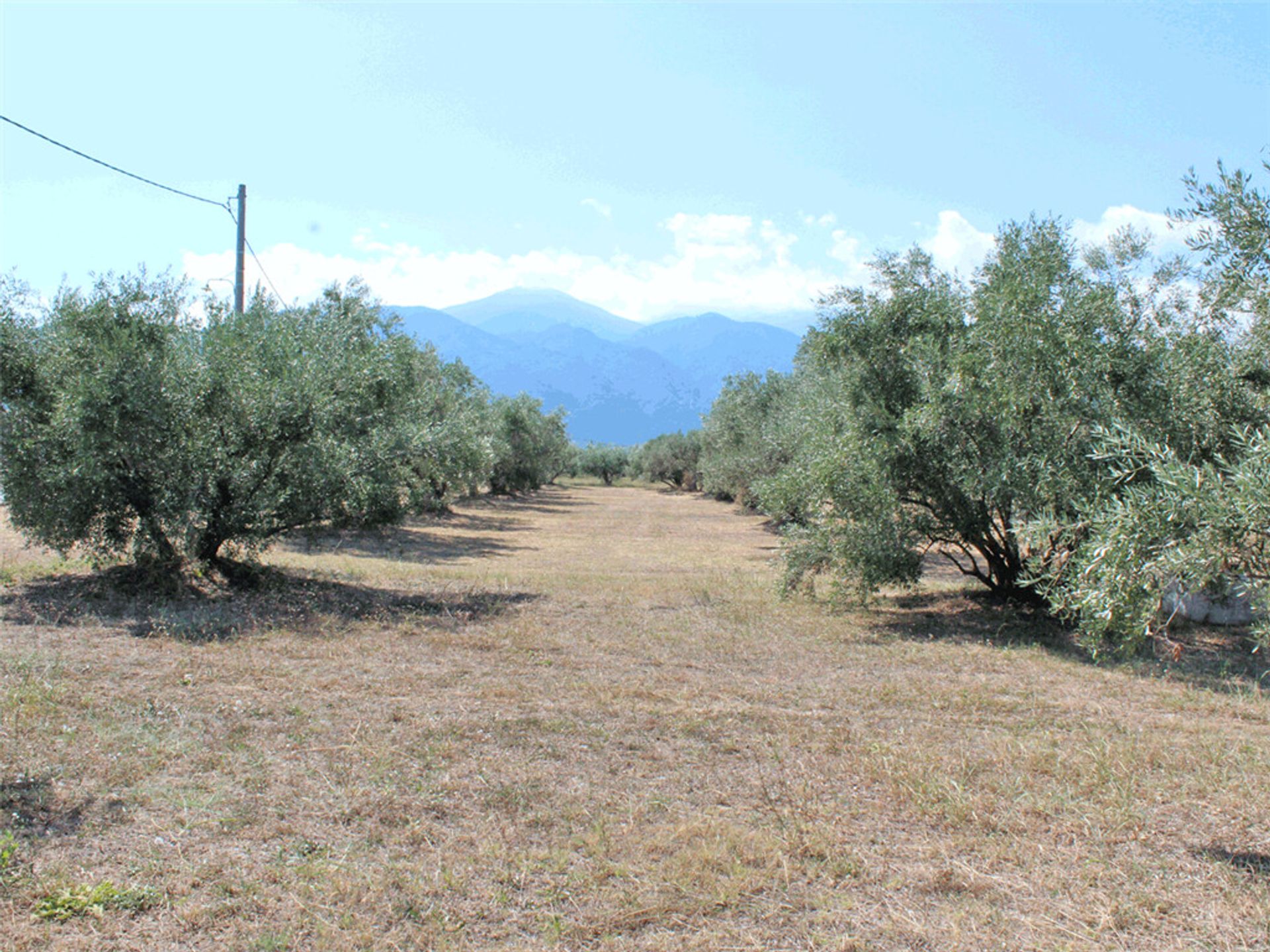 Land in Leptokarya, Kentriki Makedonia 11511535