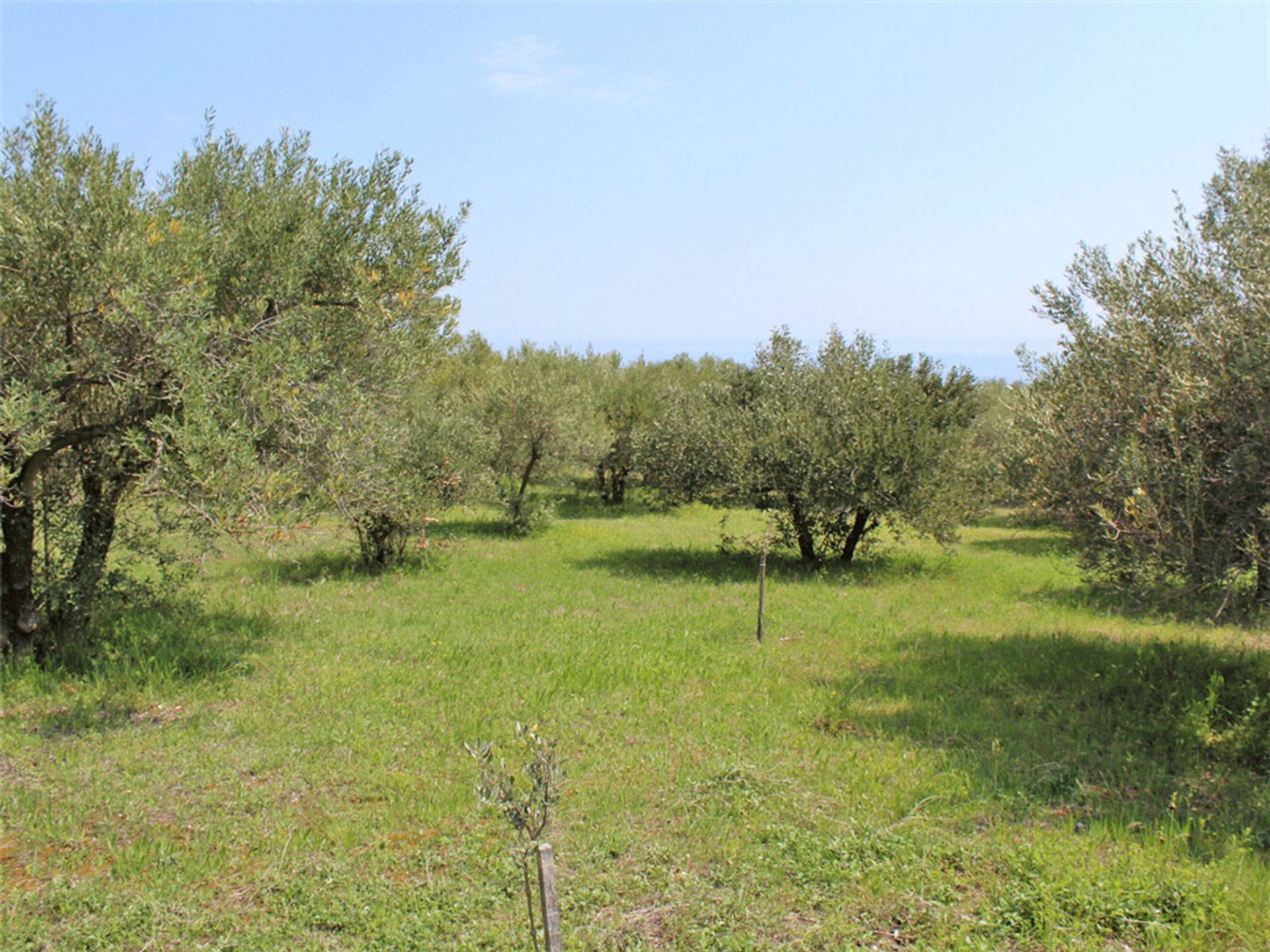 Land in Leptokarya, Kentriki Makedonia 11511639