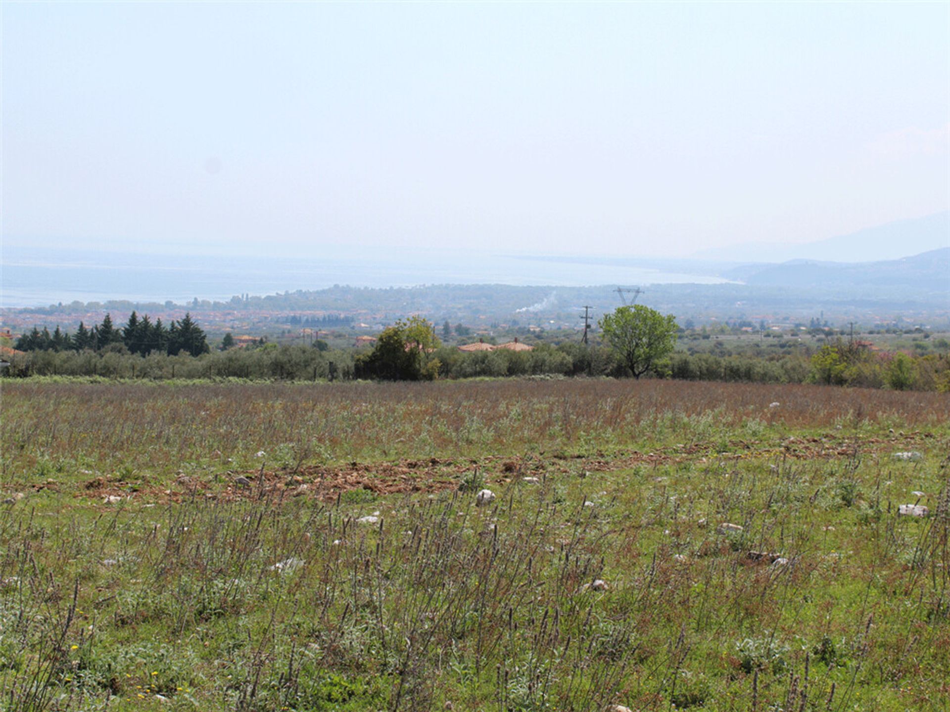 土地 在 Πελασγός,  11511704