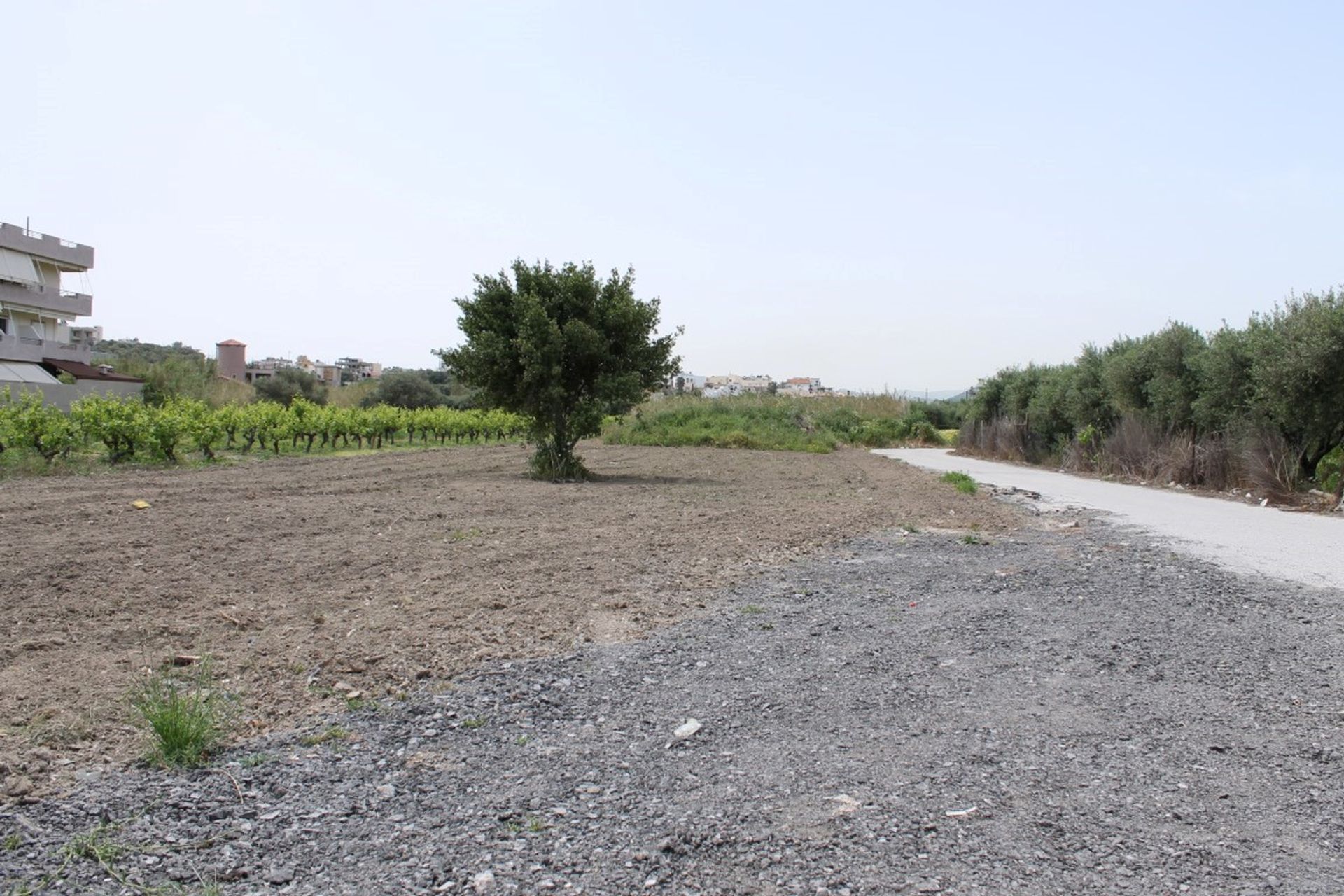 Land in Ammoudara, Kriti 11511707