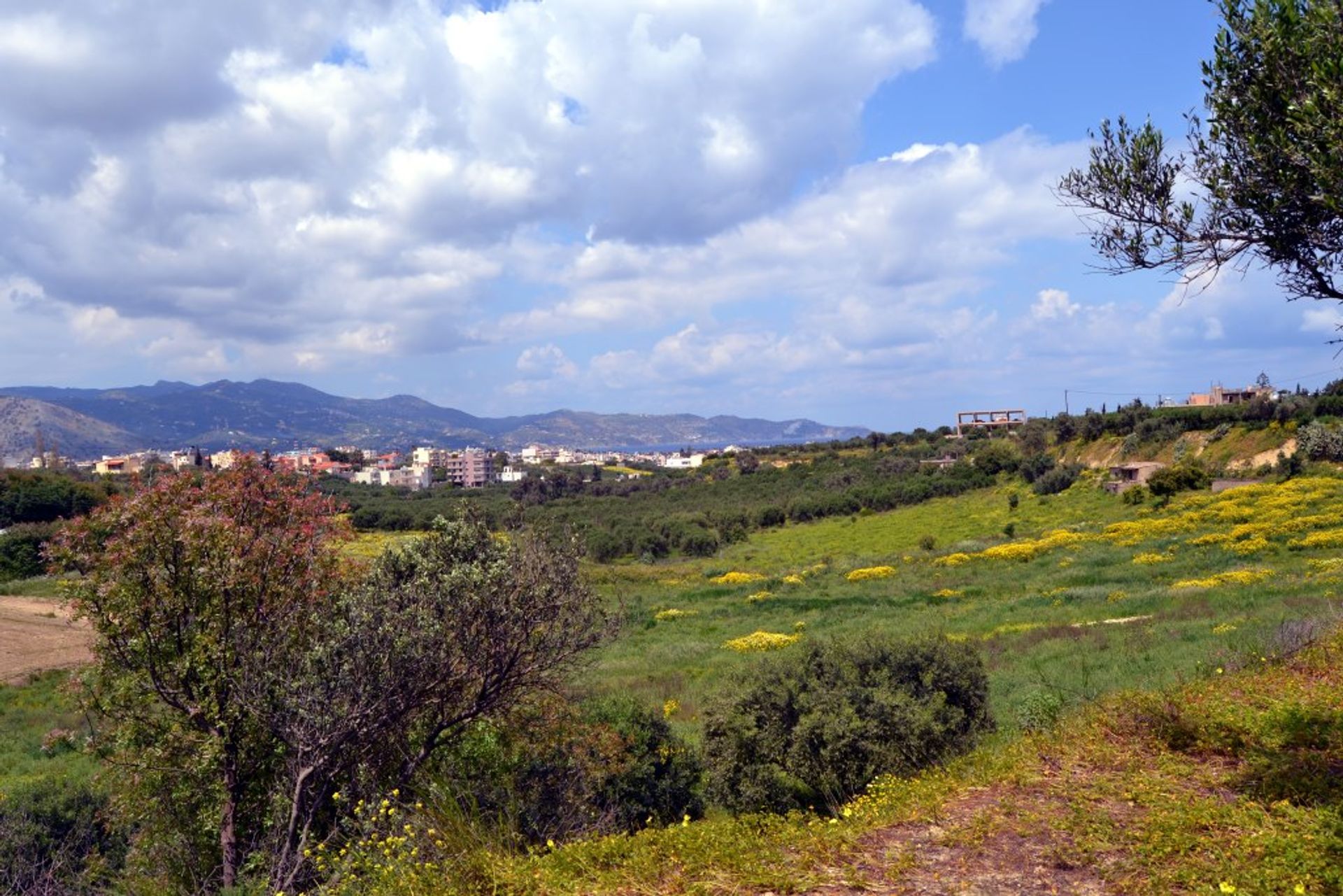 Land in Agioi Theodoroi, Kriti 11511716