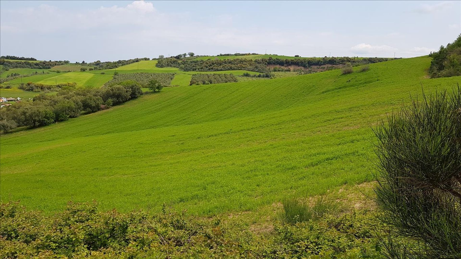 Terra no Ierissos, Kentriki Makedonia 11511717