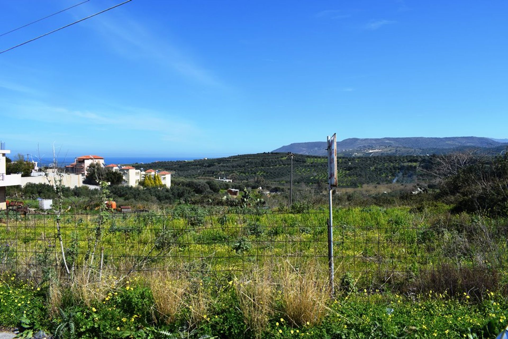 ארץ ב אסי גוניה, קריטי 11511782