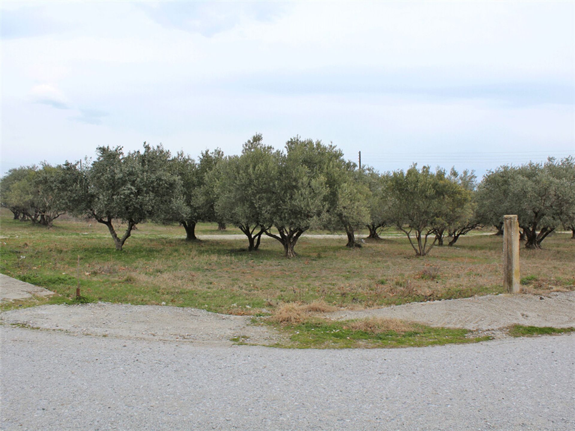 Land im Leptokarya, Kentriki Makedonia 11511807