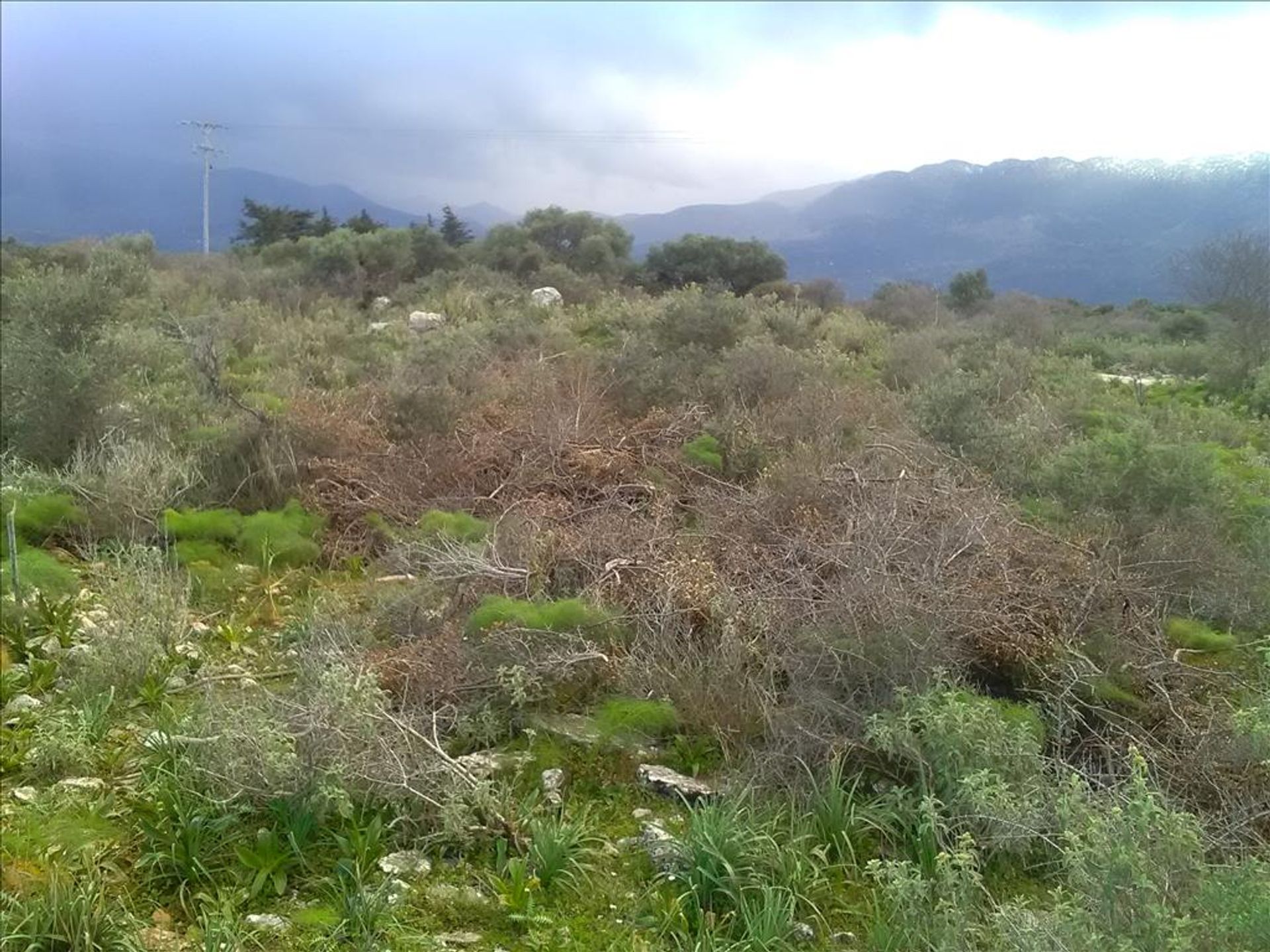 Land in Vryses, Kriti 11511852