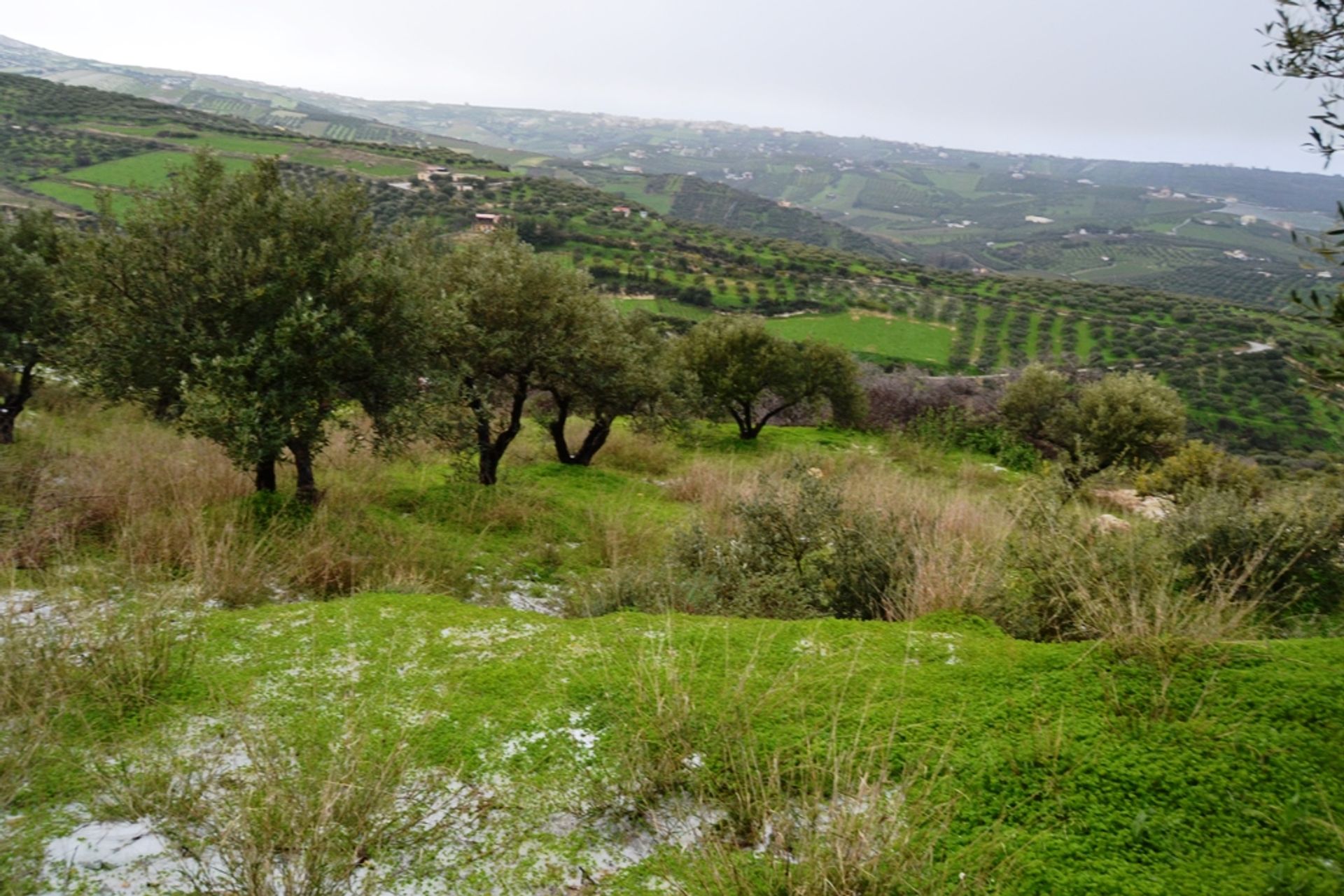 Tierra en Silamos, criti 11511879