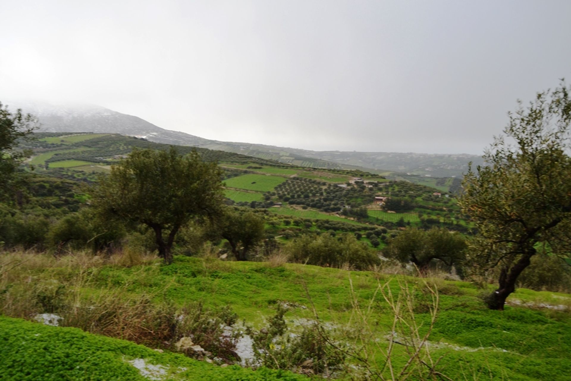 Tierra en Silamos, criti 11511879