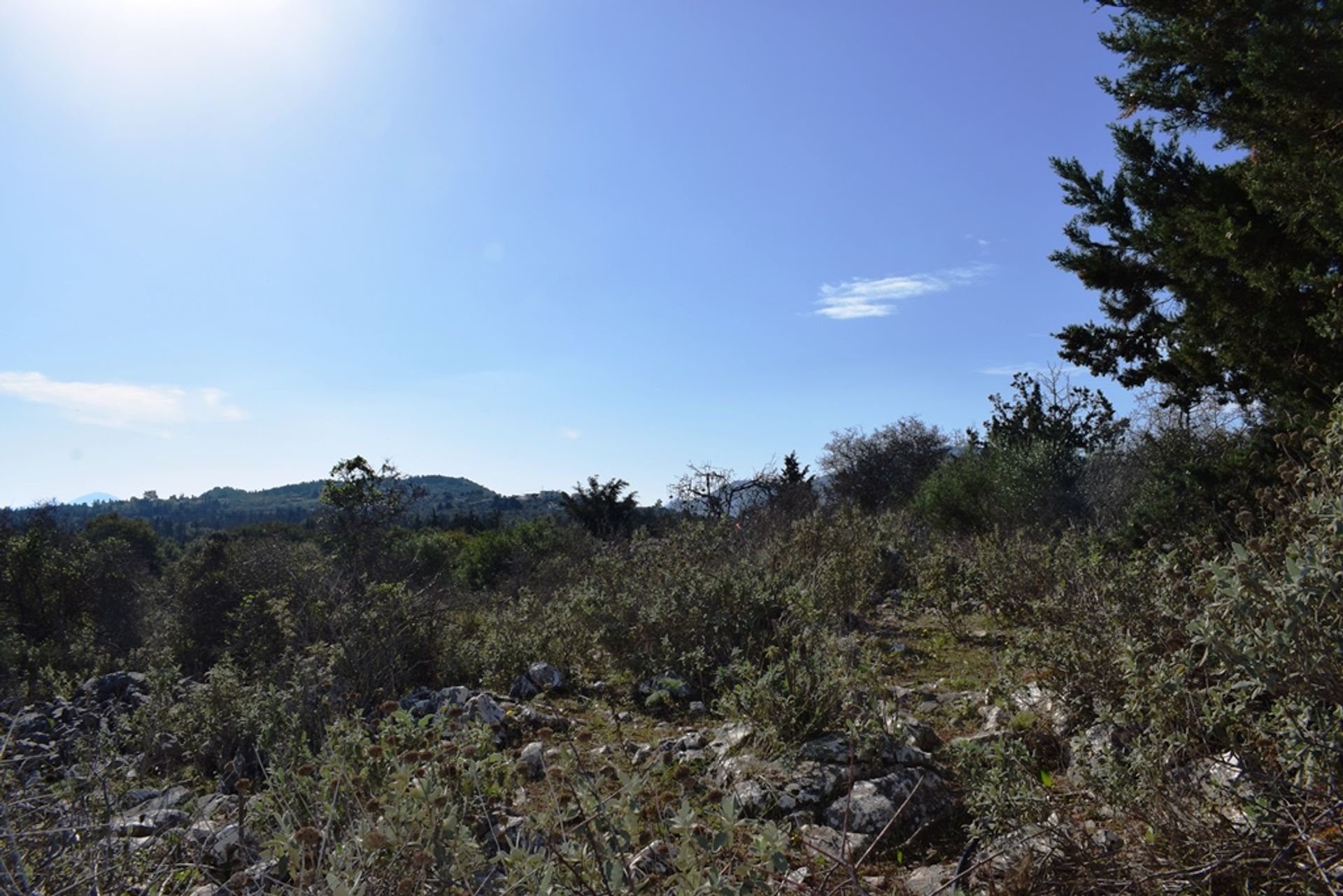 Γη σε Κεφαλάς, Κρήτης 11511948