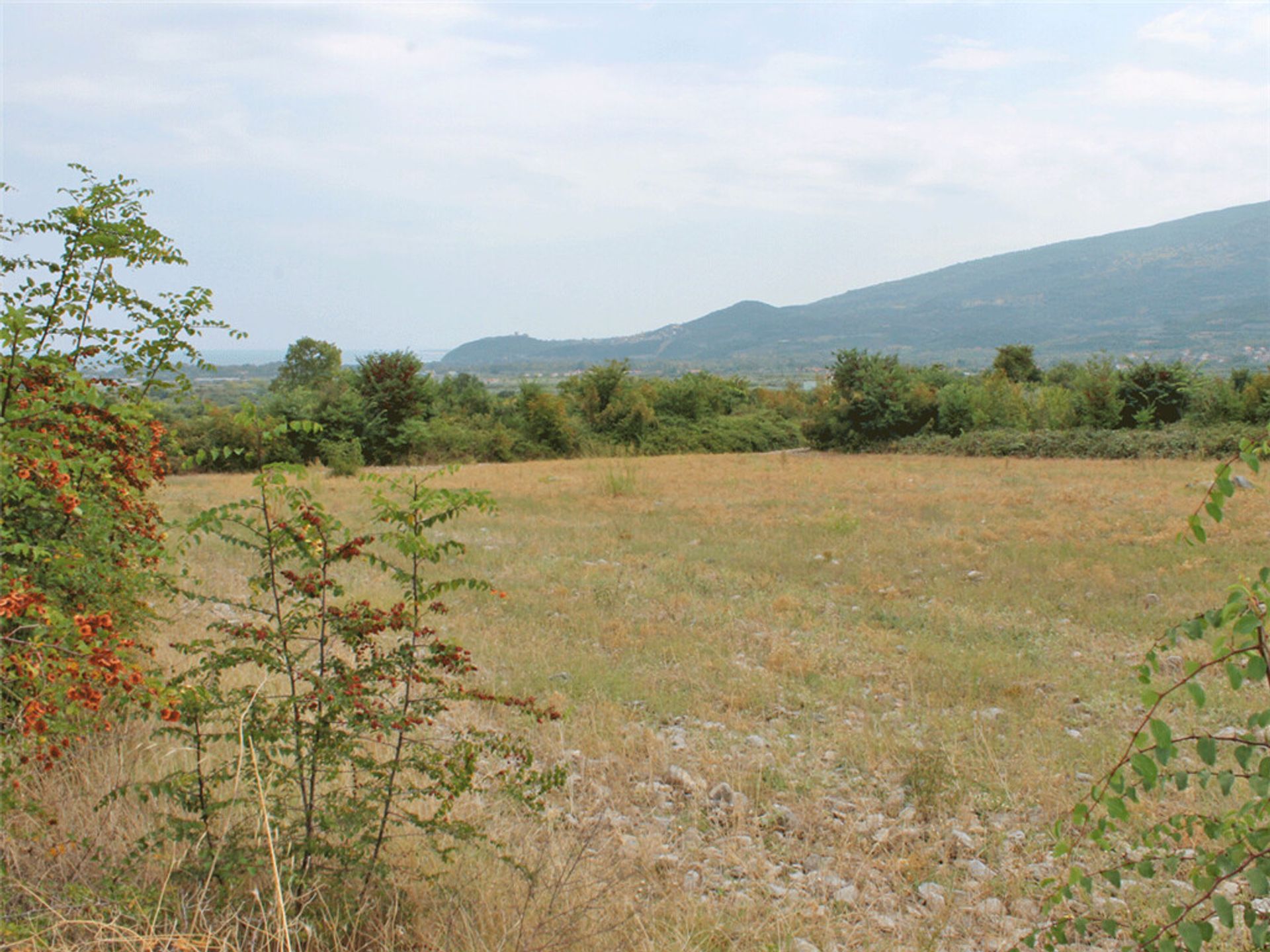 Sbarcare nel Leptokarya, Kentriki Macedonia 11511965