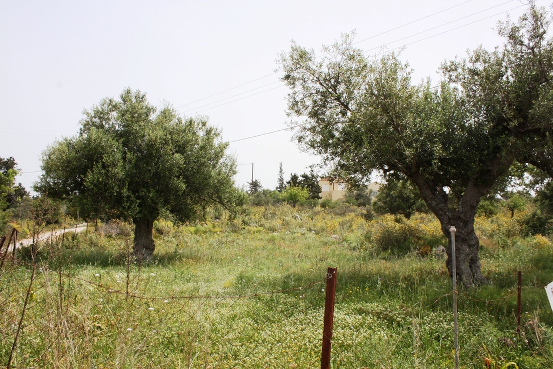 Land in Kefalas, Kriti 11512088