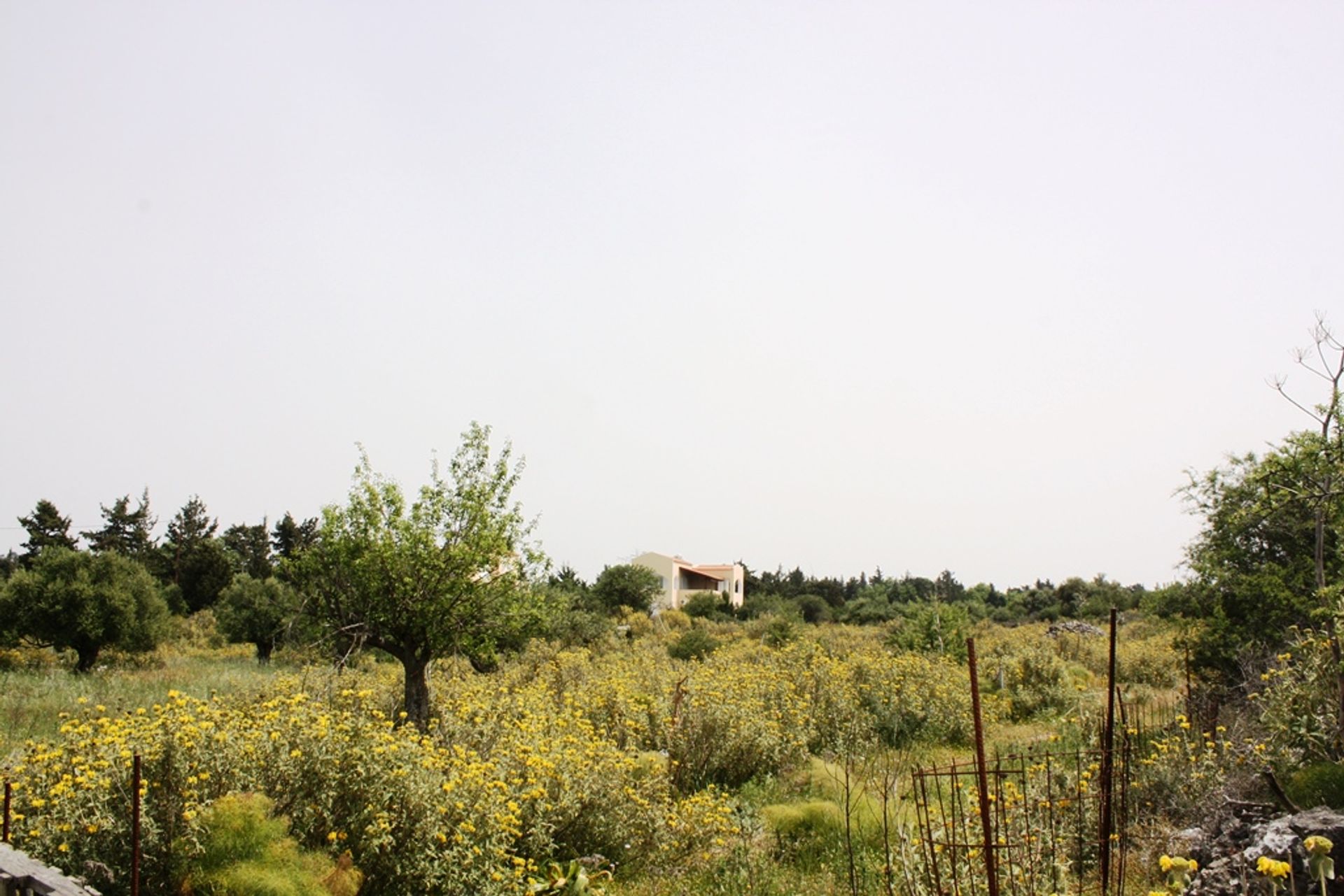 Land in Kefalas, Kriti 11512088