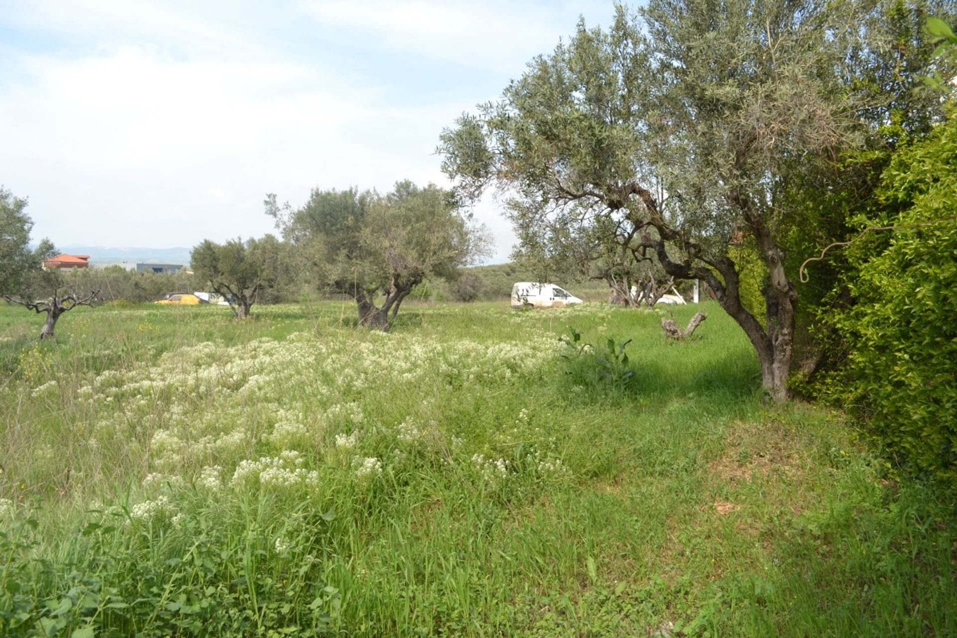 Terre dans Néa Moudania, Kentriki Macédoine 11512090