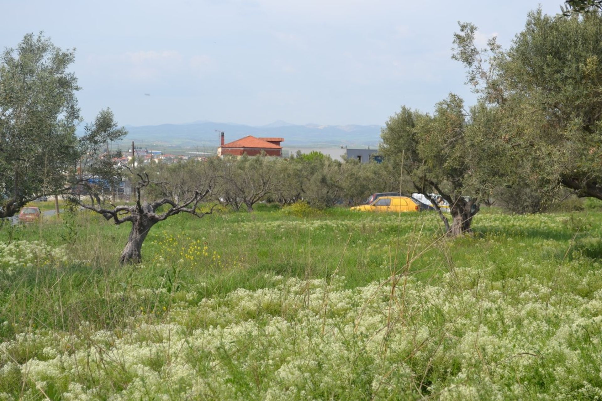 Terre dans Néa Moudania, Kentriki Macédoine 11512090