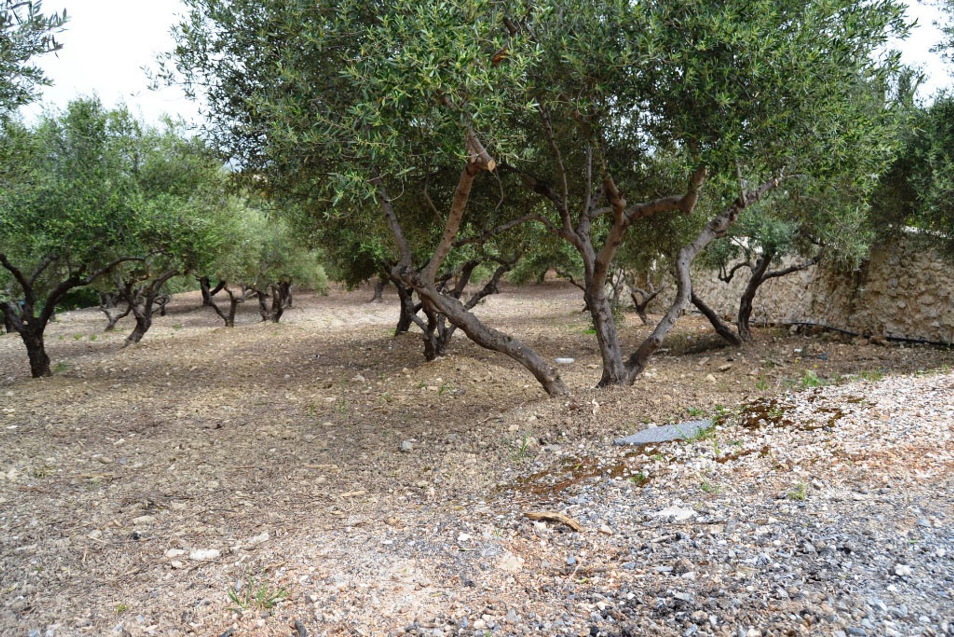 Tierra en Peza, criti 11512095