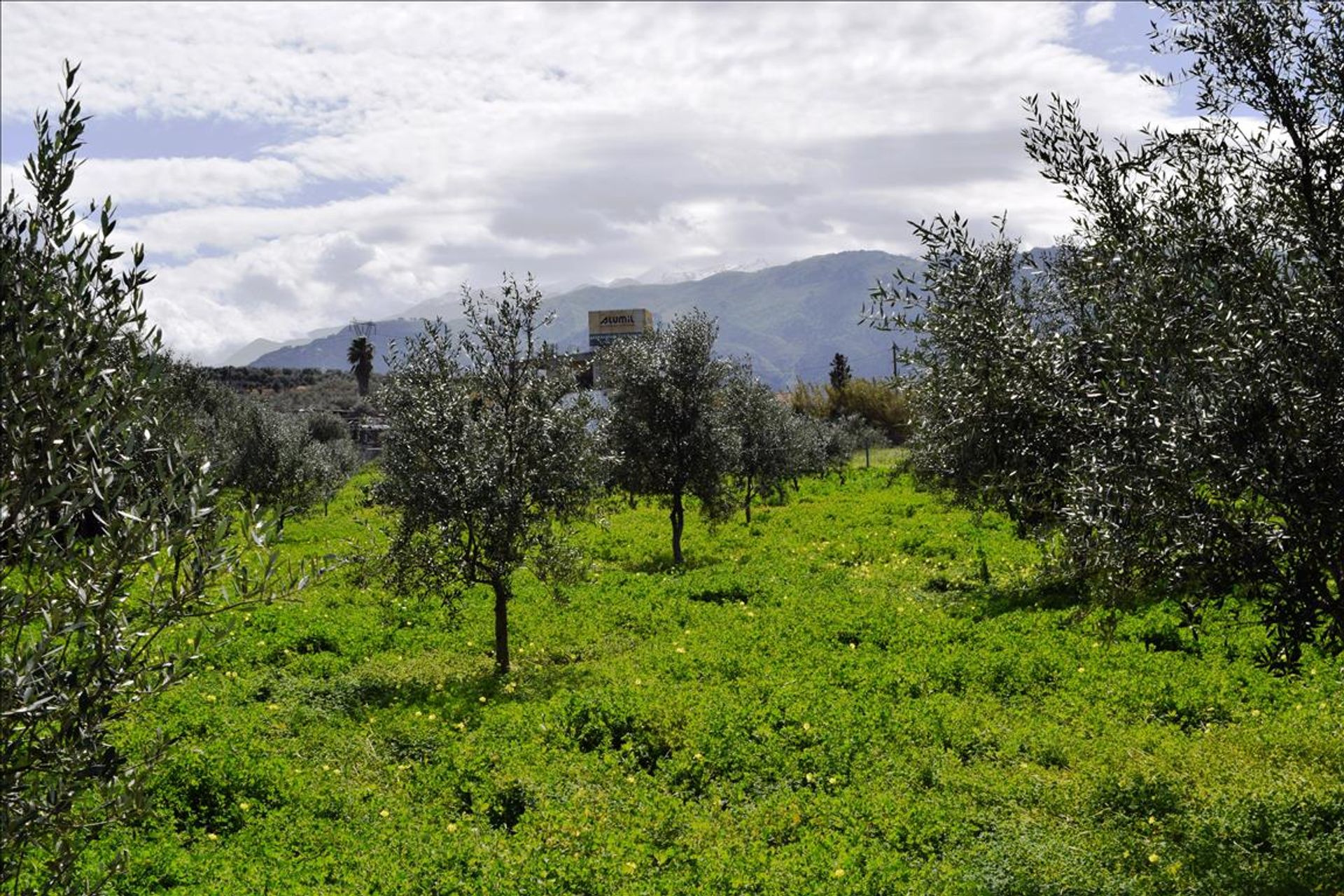 Land i Sykoliá, Kriti 11512127