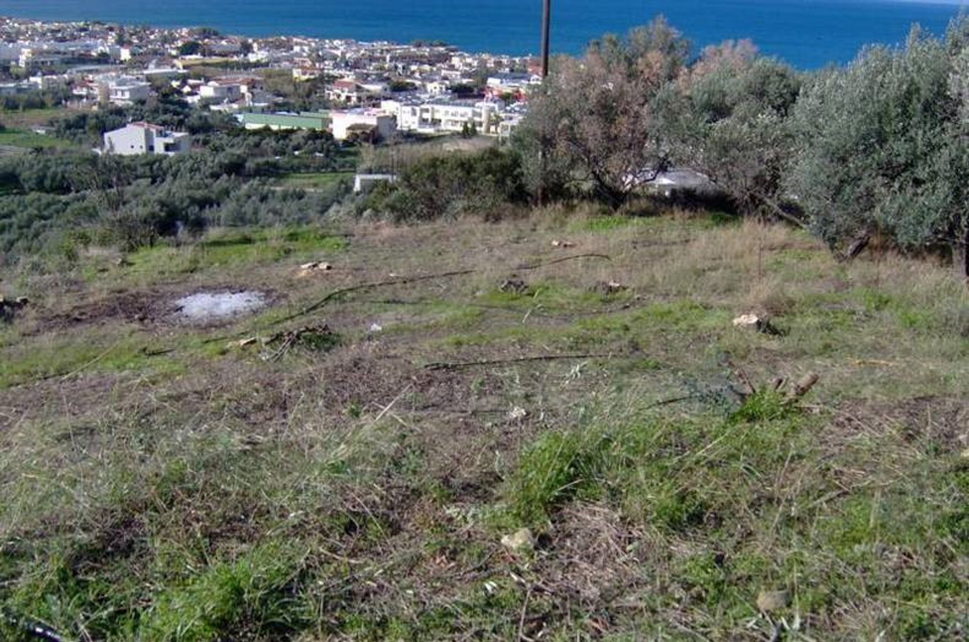 Terre dans Platanias, Kriti 11512140