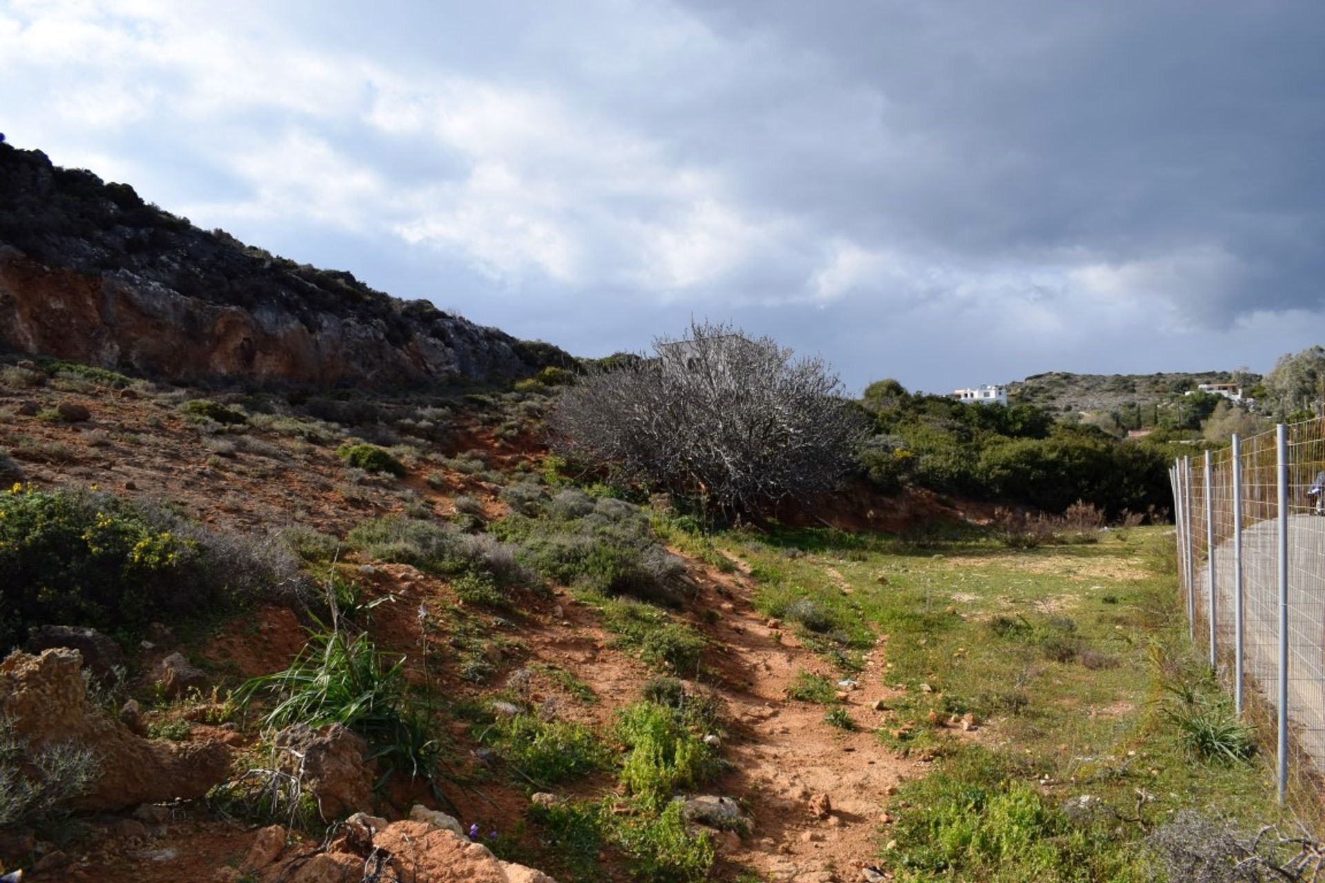 Terra no Chorafakia, Criti 11512147