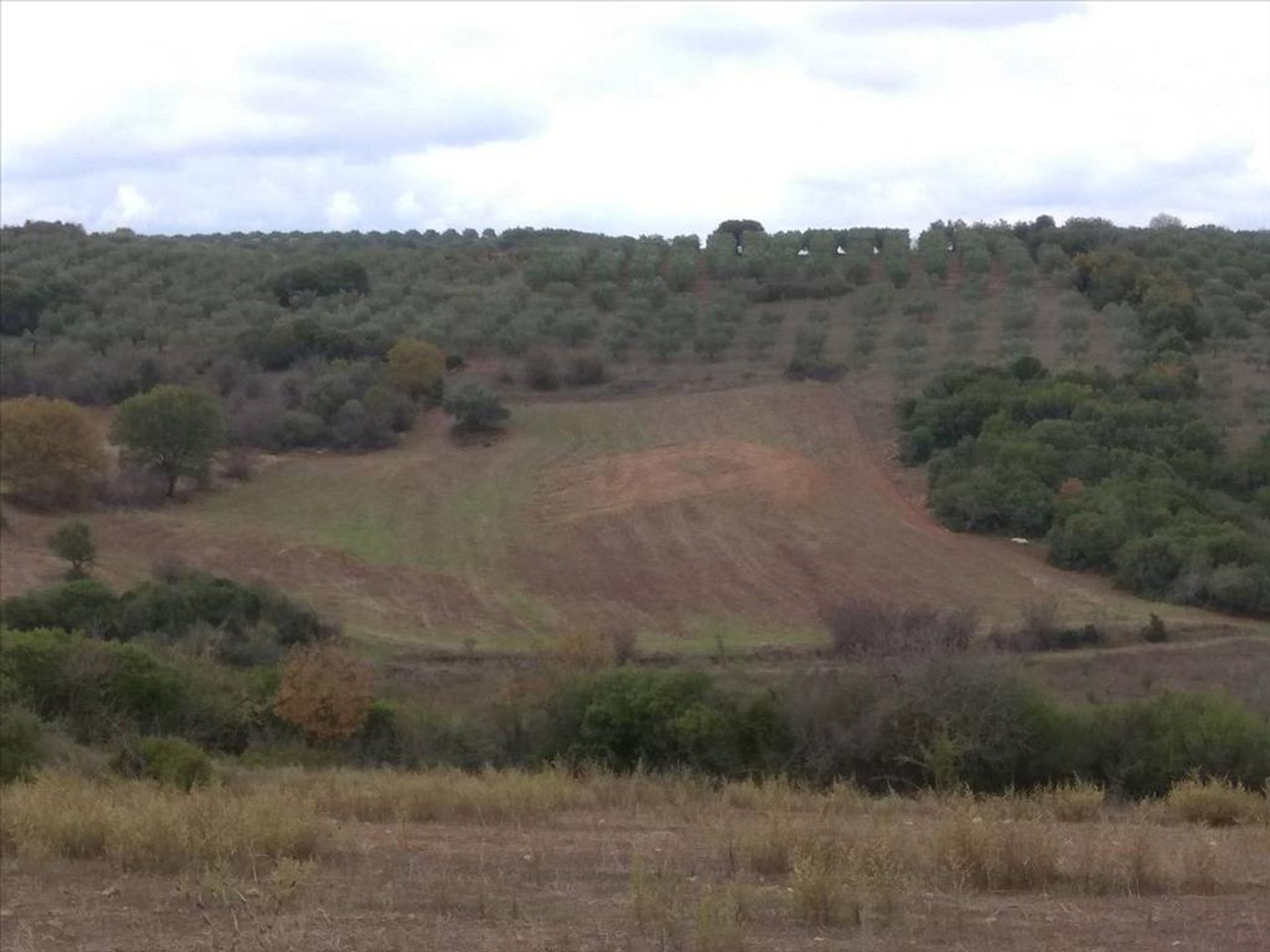 Terre dans Pyrgadikia, Kentriki Macédoine 11512219