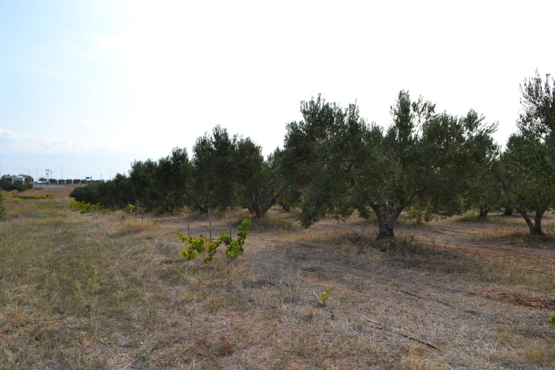 Tierra en Nea Moudania, Kentriki Makedonia 11512254