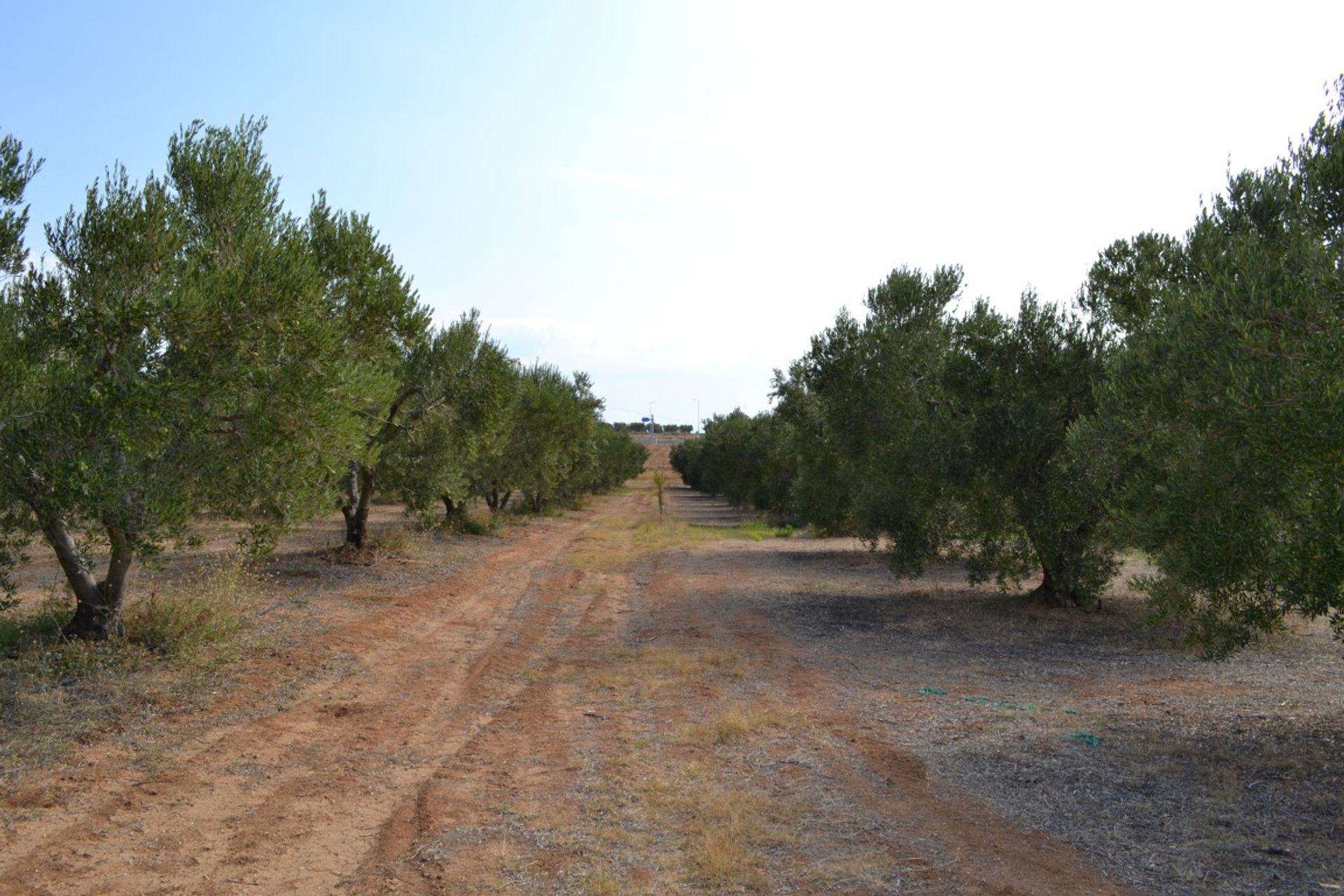 Land in Nea Moudania, Kentriki Makedonia 11512254