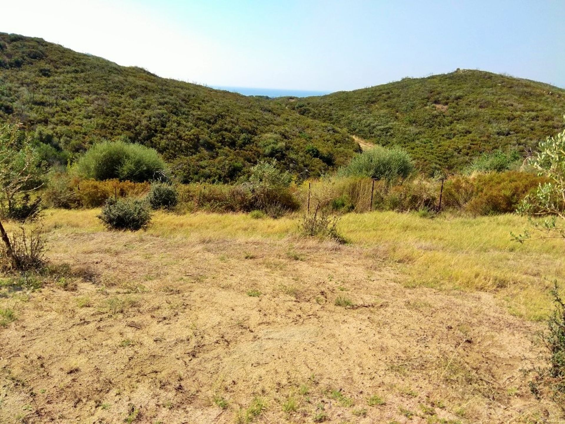 土地 在 阿莫利亞尼, 肯特里基馬其頓 11512304