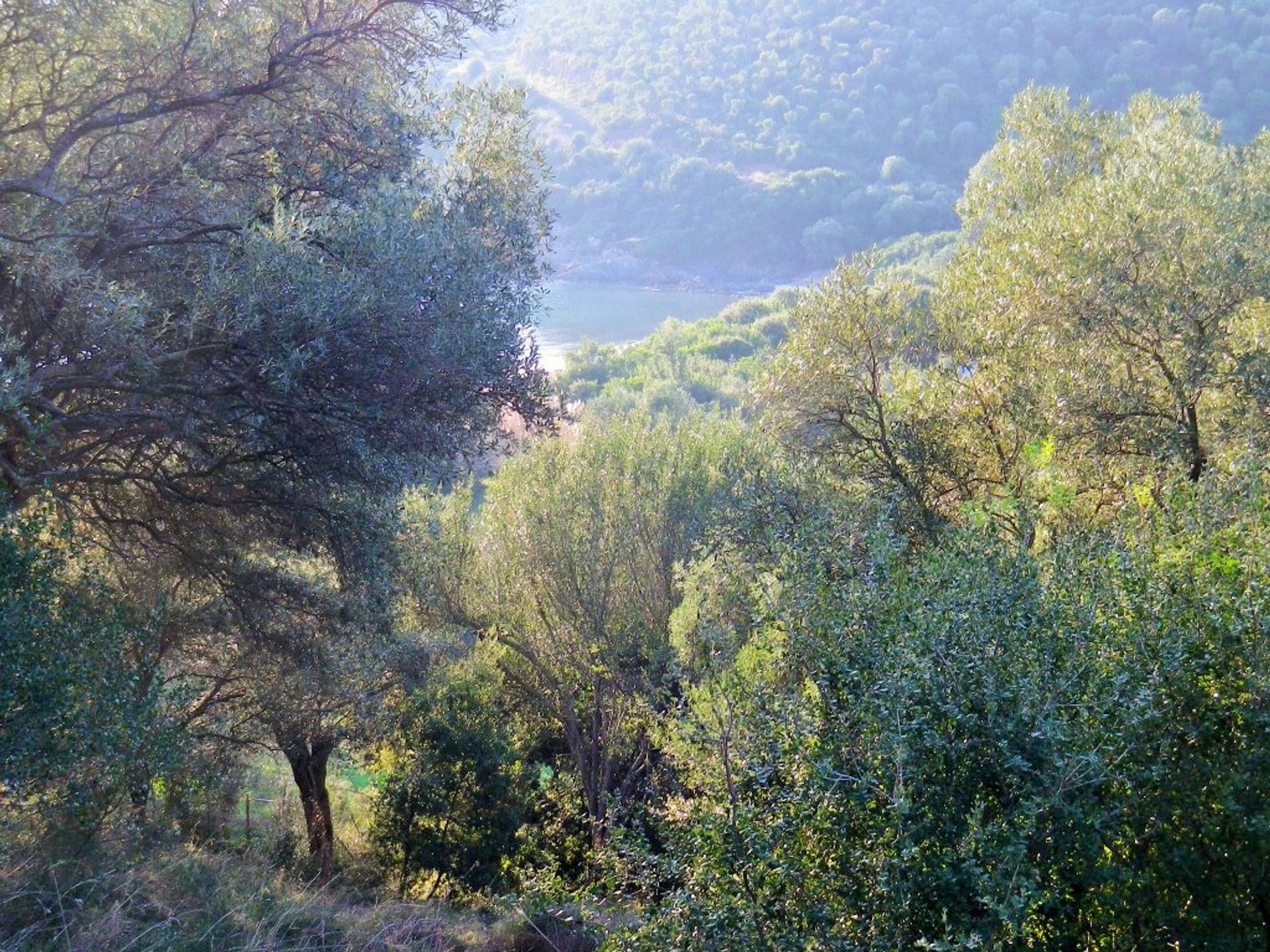 Terre dans Ammouliani, Kentriki Macédoine 11512305