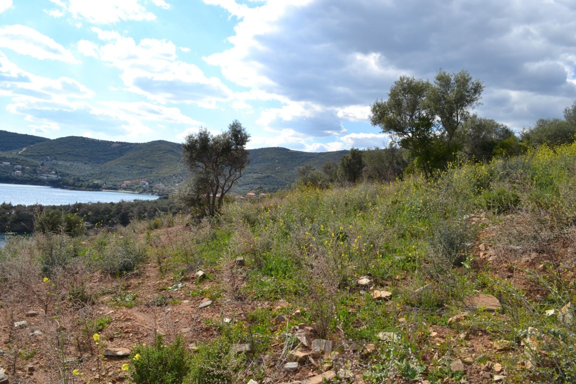 Terre dans Pyrgadikia, Kentriki Macédoine 11512462