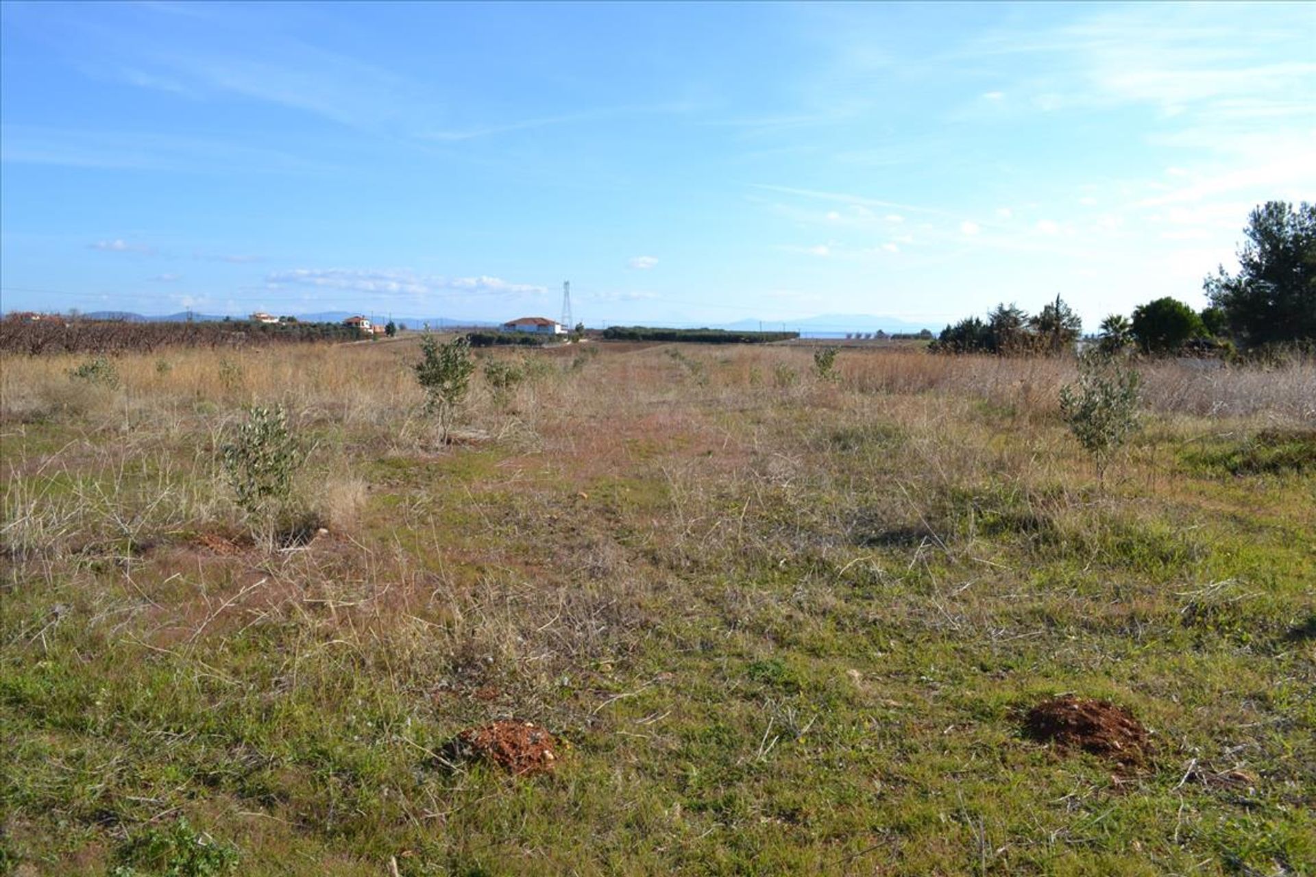 Land in Nea Poteidaia, Kentriki Makedonia 11512522