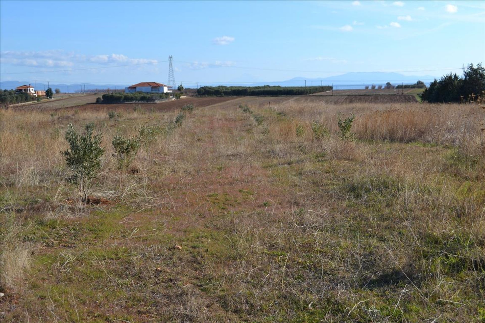 Tierra en Nea Potéidaia, Kentriki Macedonia 11512522