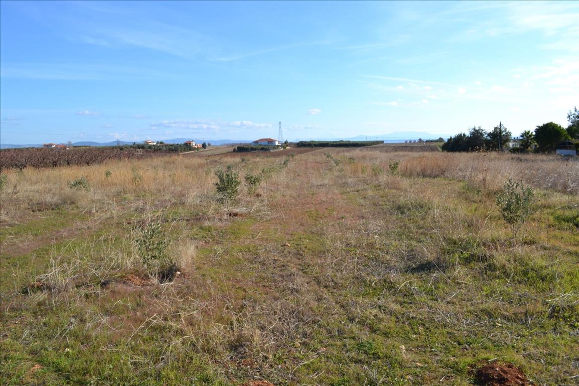 Land in Nea Poteidaia, Kentriki Makedonia 11512522