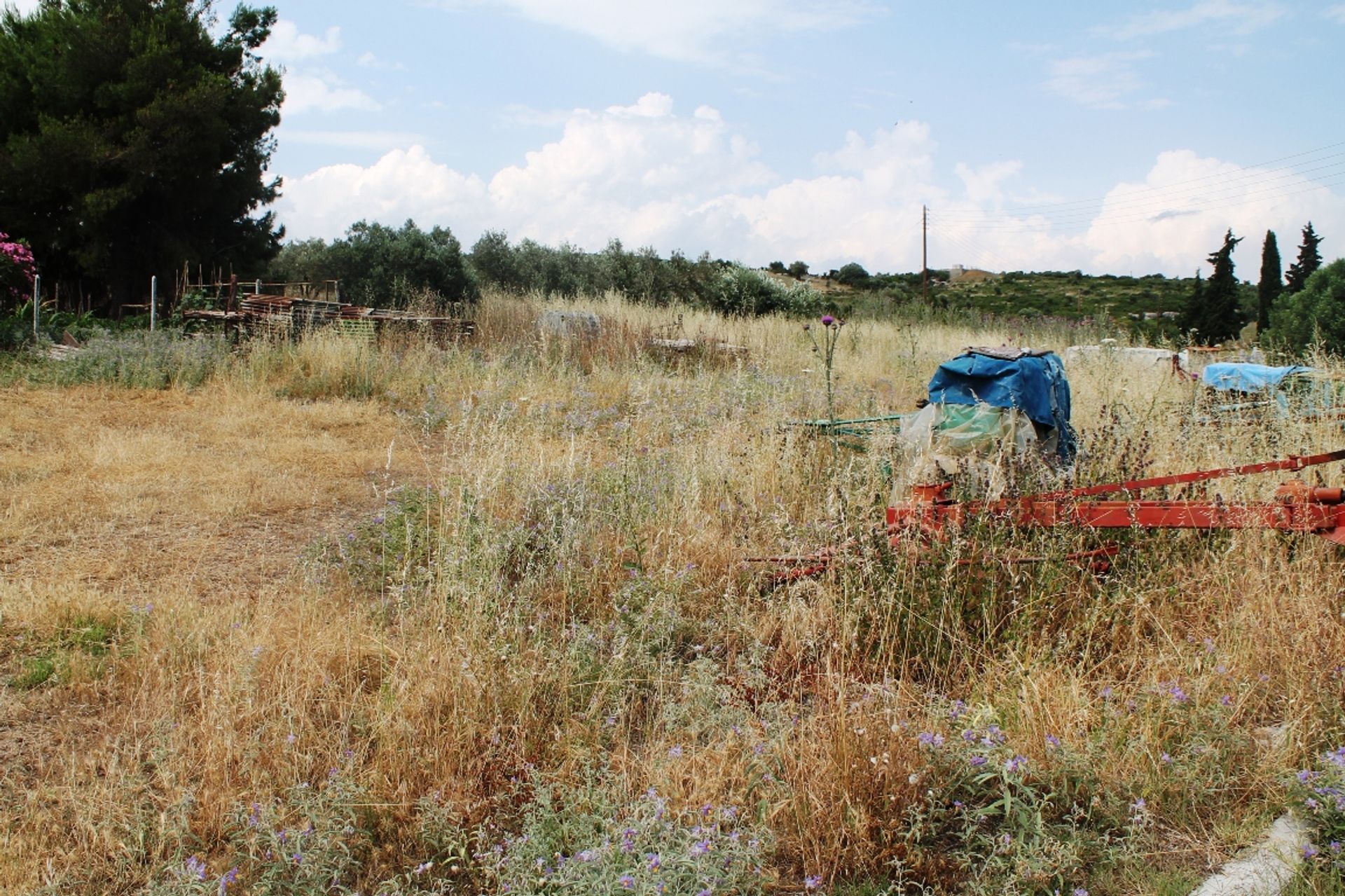 Γη σε Νέα Φλογητά, Κεντρική Μακεδονία 11512904