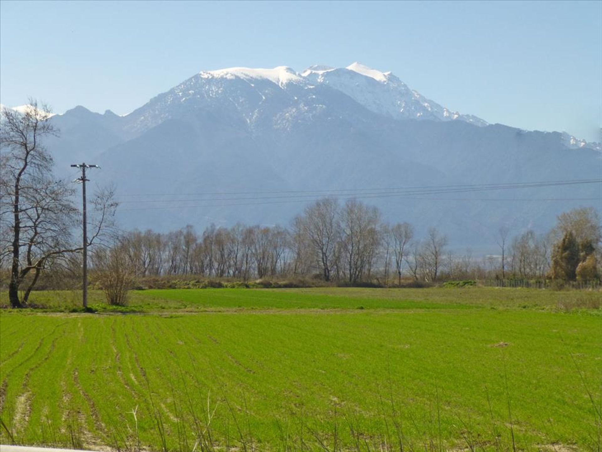 Terra no Skala Katerinis, Kentriki Makedonia 11513000