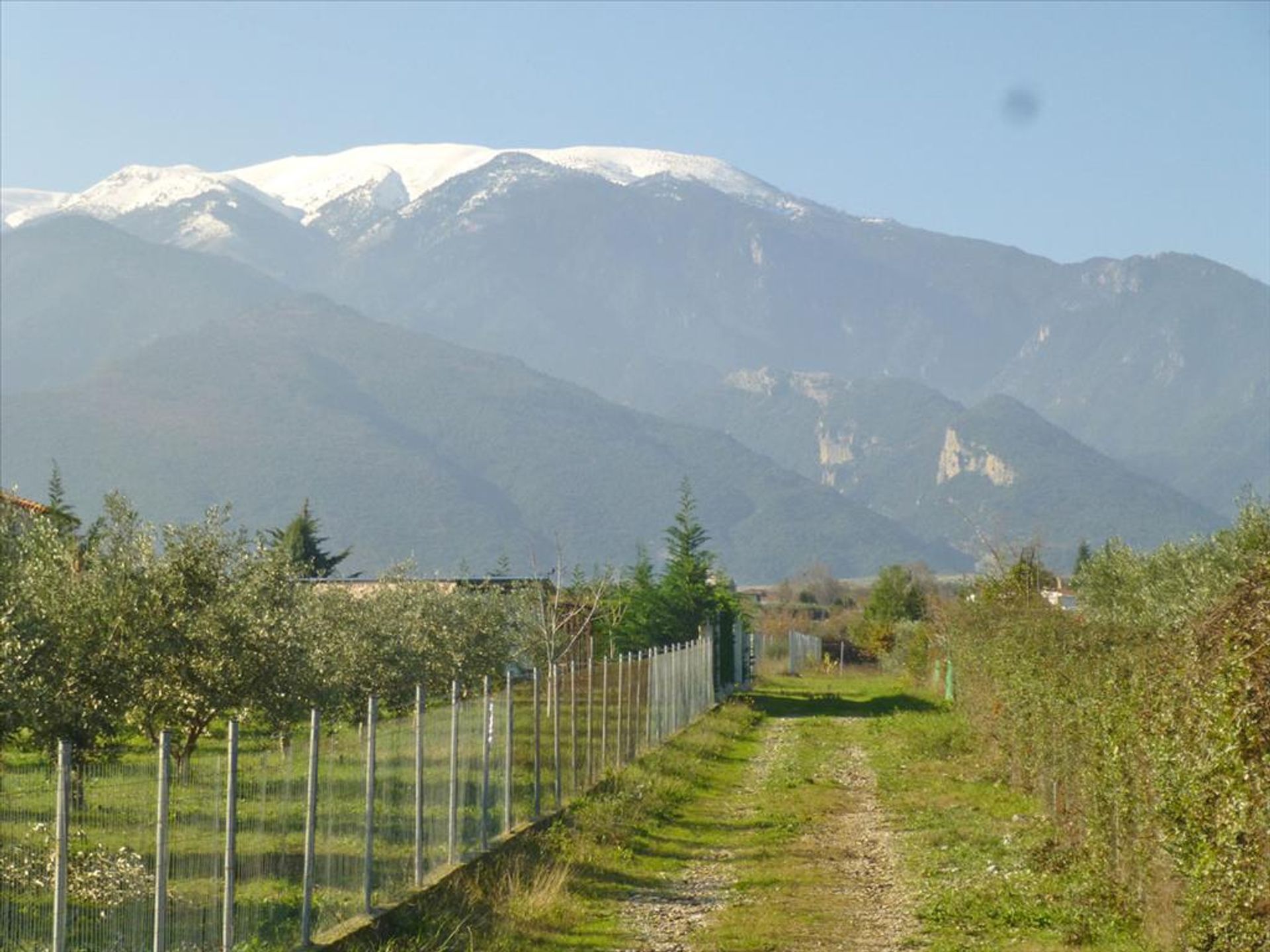 Terra no Leptokarya, Kentriki Makedonia 11513086