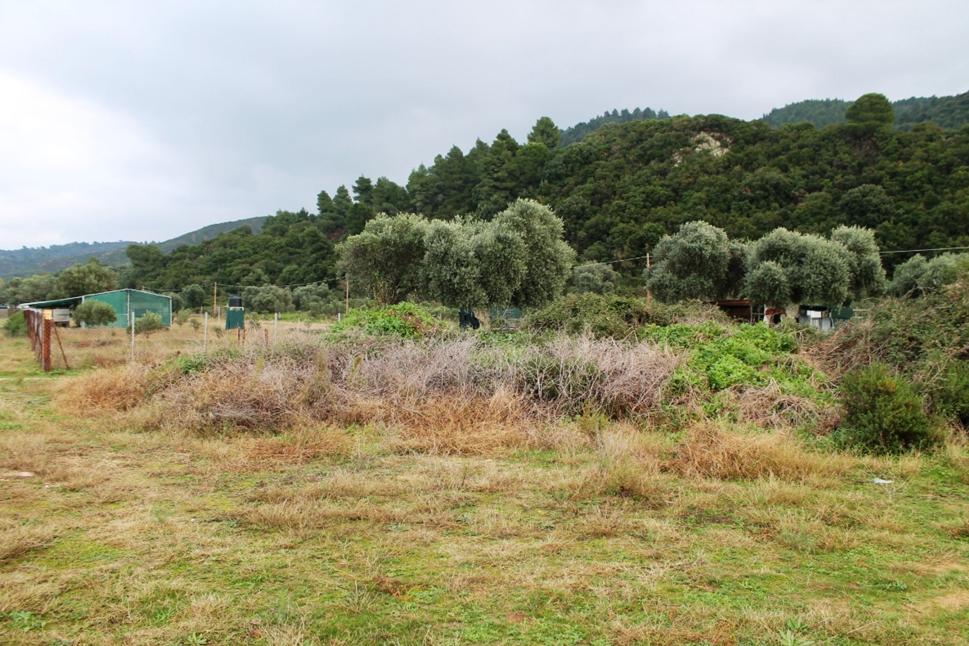 Terre dans Ammouliani, Kentriki Macédoine 11513102