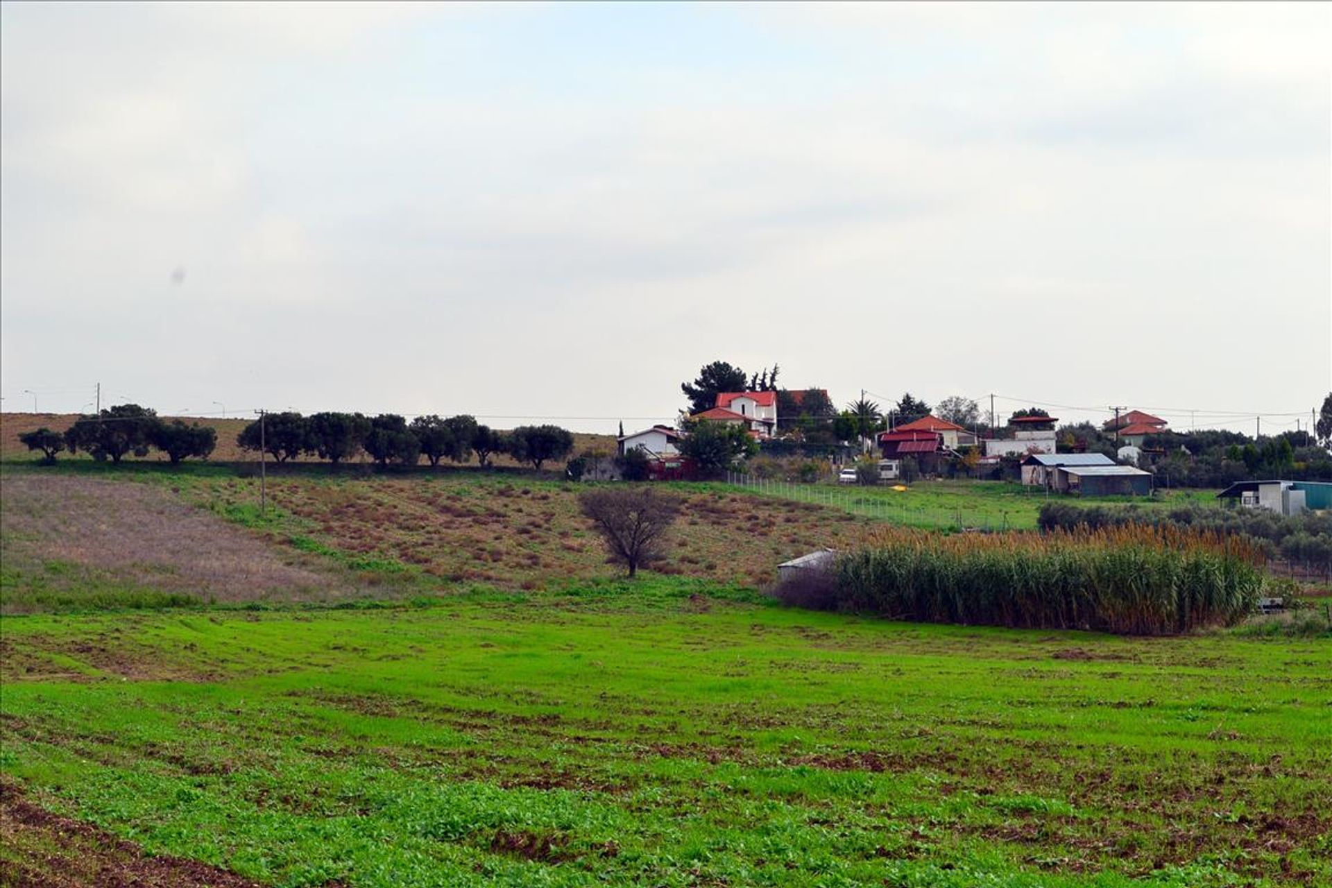 Land im Nea Flogita, Kentriki Makedonia 11513111