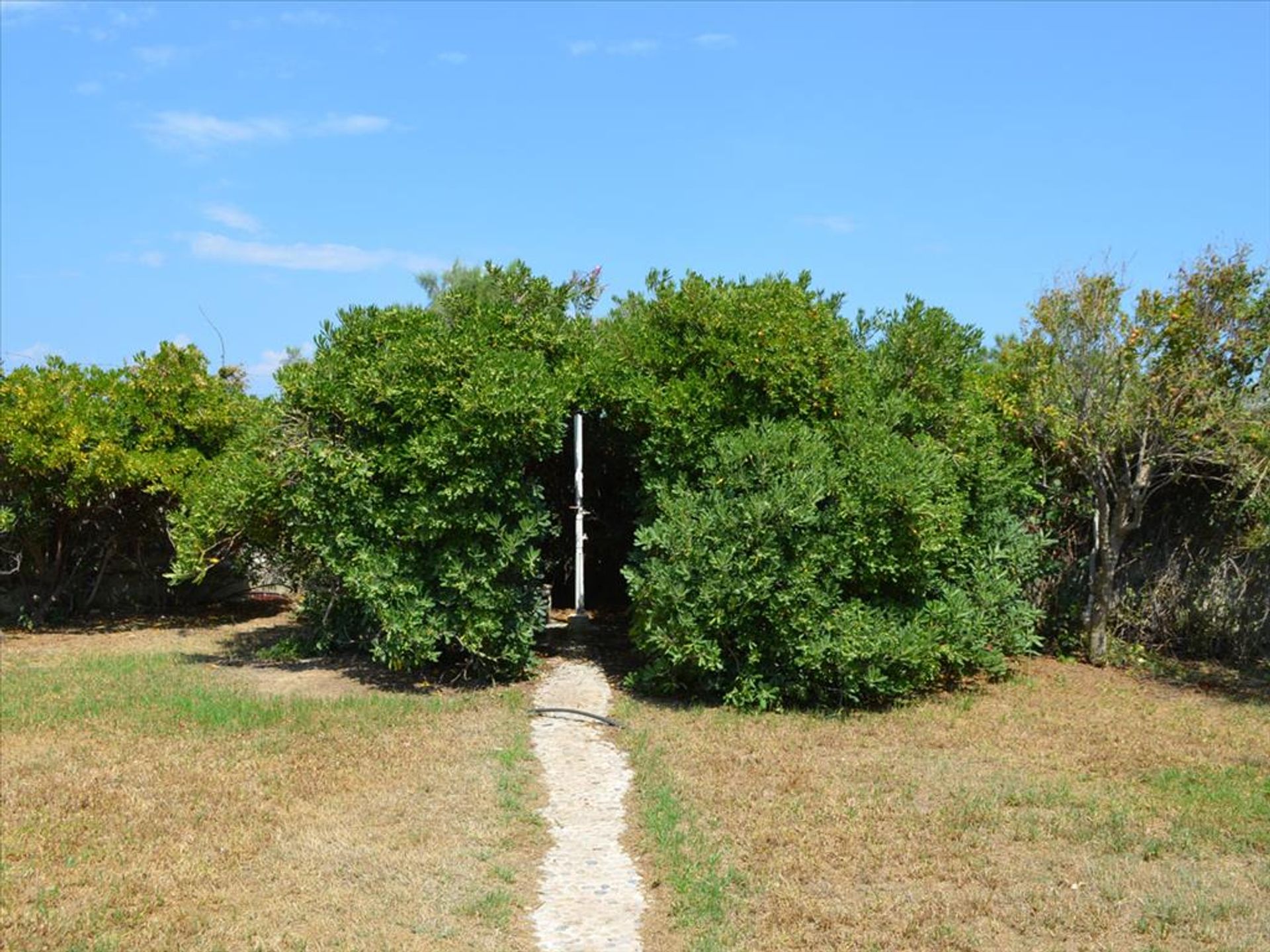 casa no Psila Alonia, Peloponnisos 11513189