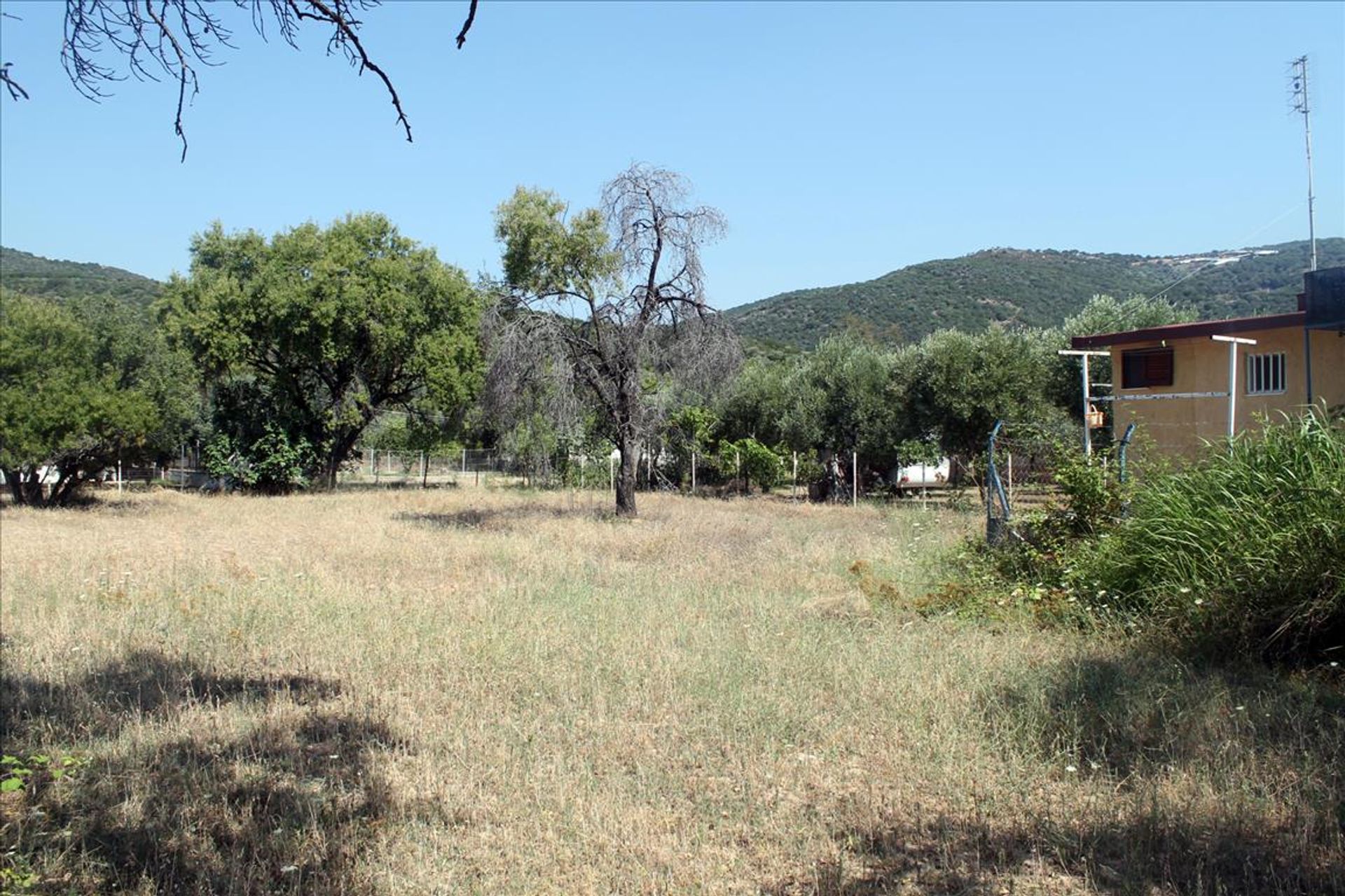 Terre dans Pyrgadikia, Kentriki Macédoine 11513220