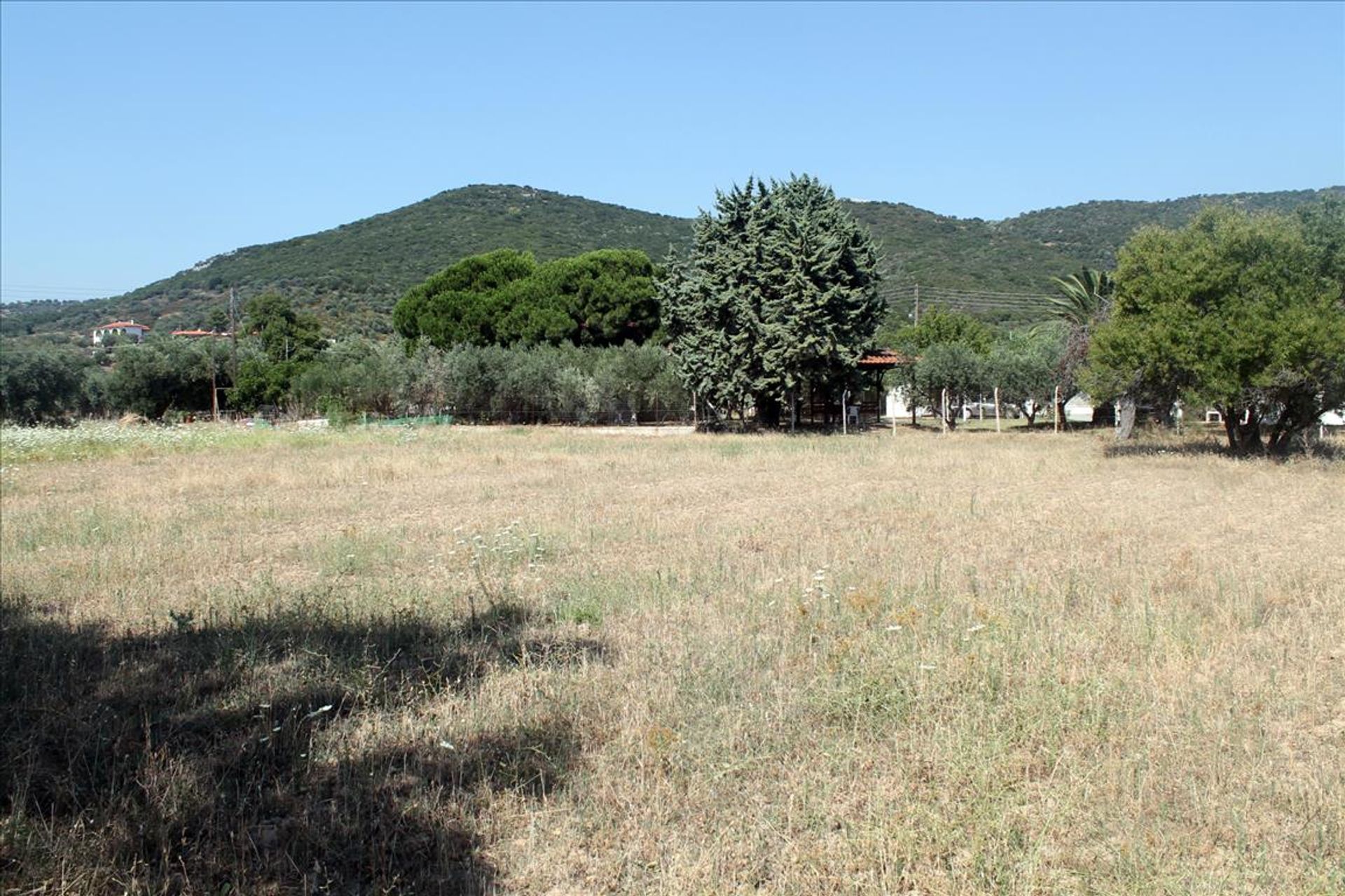 Terre dans Pyrgadikia, Kentriki Macédoine 11513220