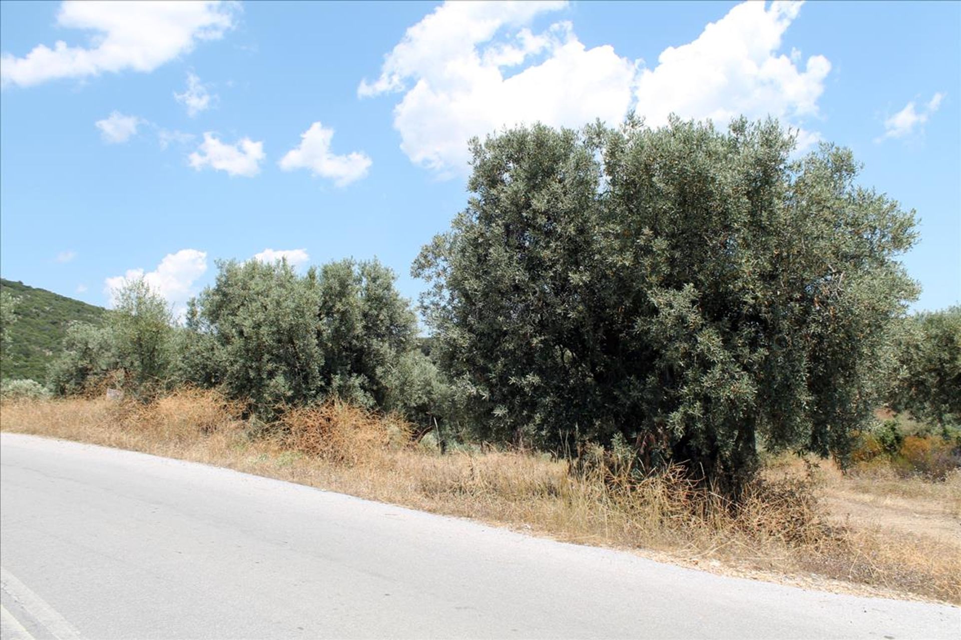 Land in Pyrgadikia, Kentriki Makedonia 11513235