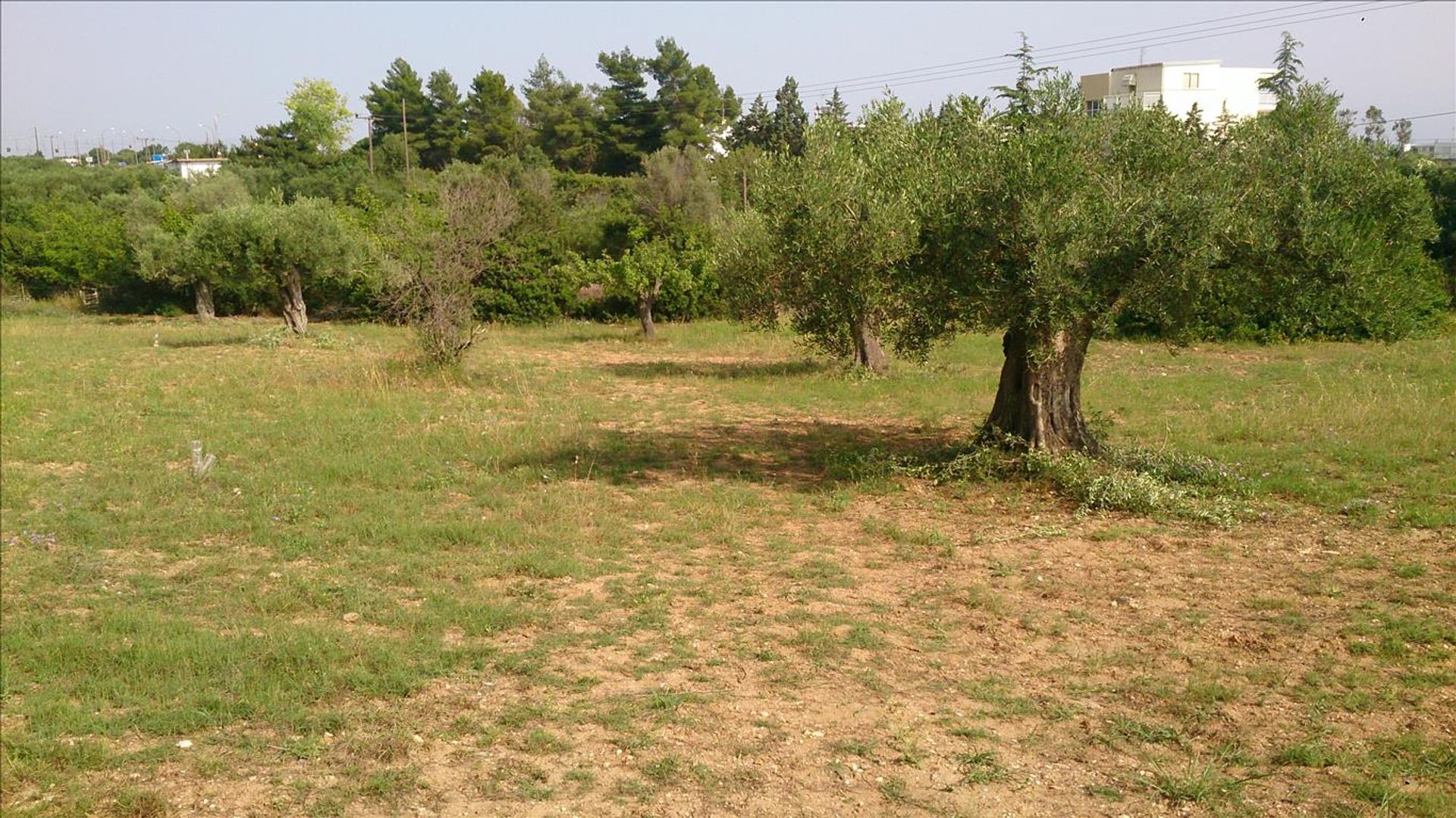 Land in Neos Marmaras, Kentriki Makedonia 11513376