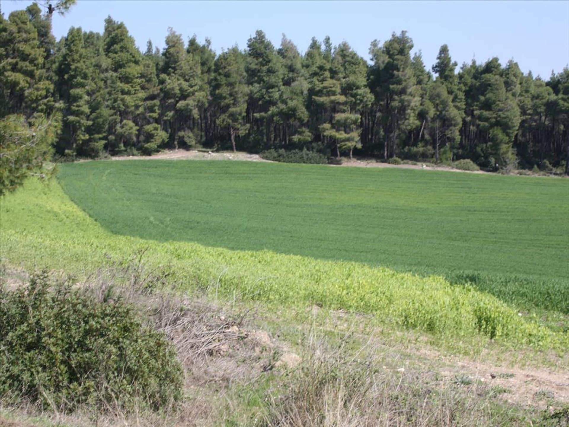 Tanah di Kassandreia, Kentriki Makedonia 11513377