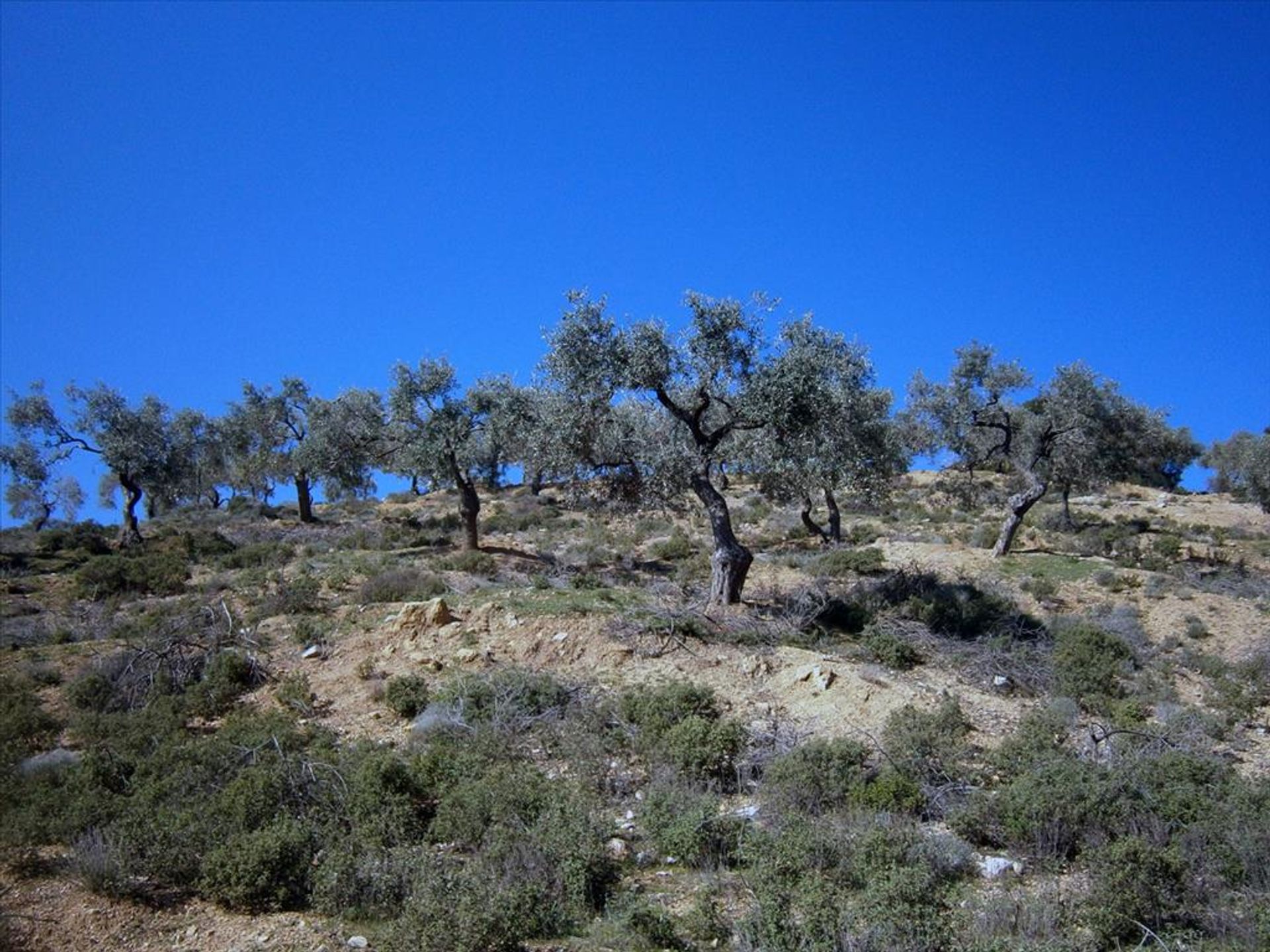 ארץ ב ,  11513380