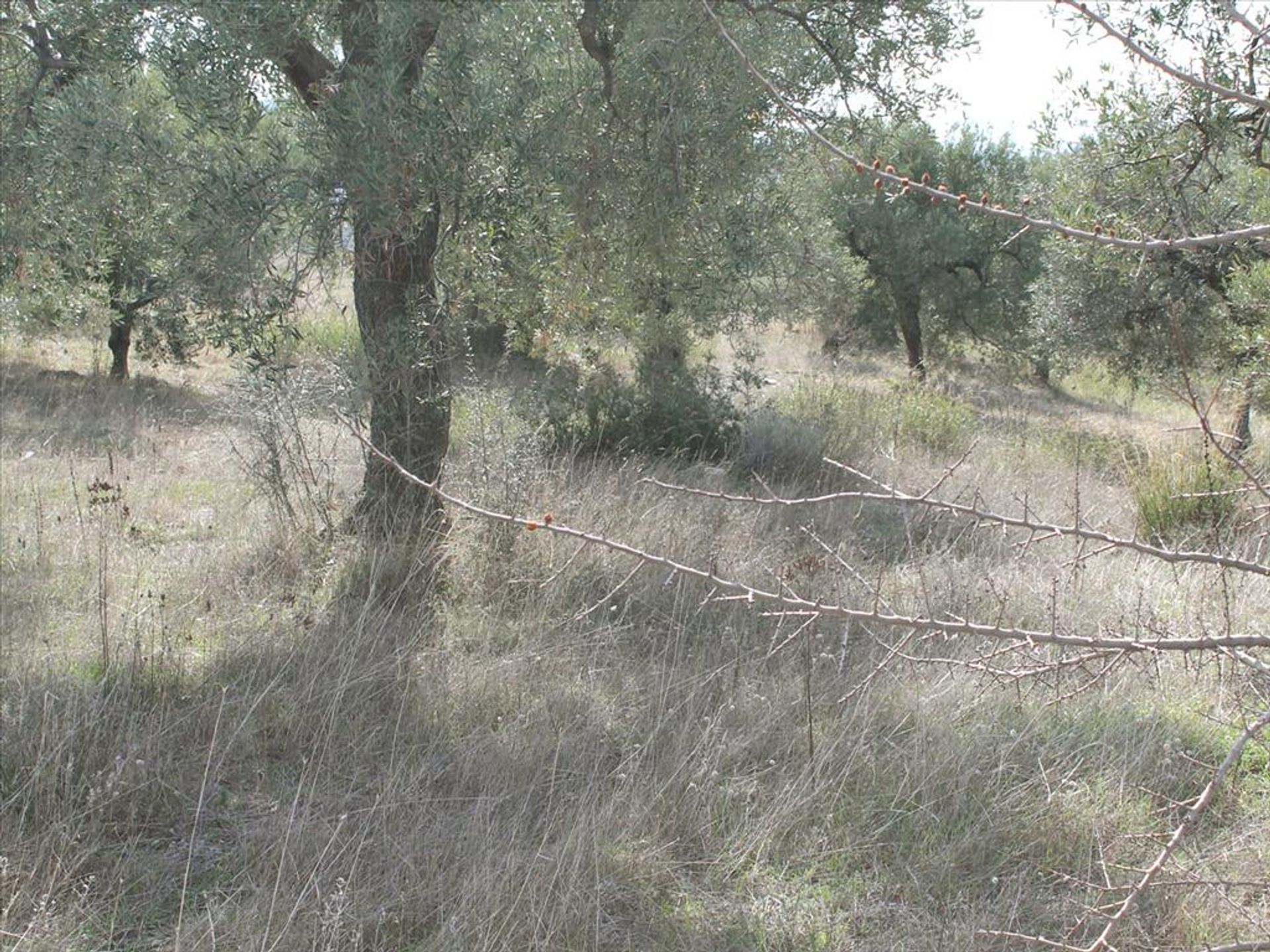 Land in Neos Marmaras, Kentriki Makedonia 11513444