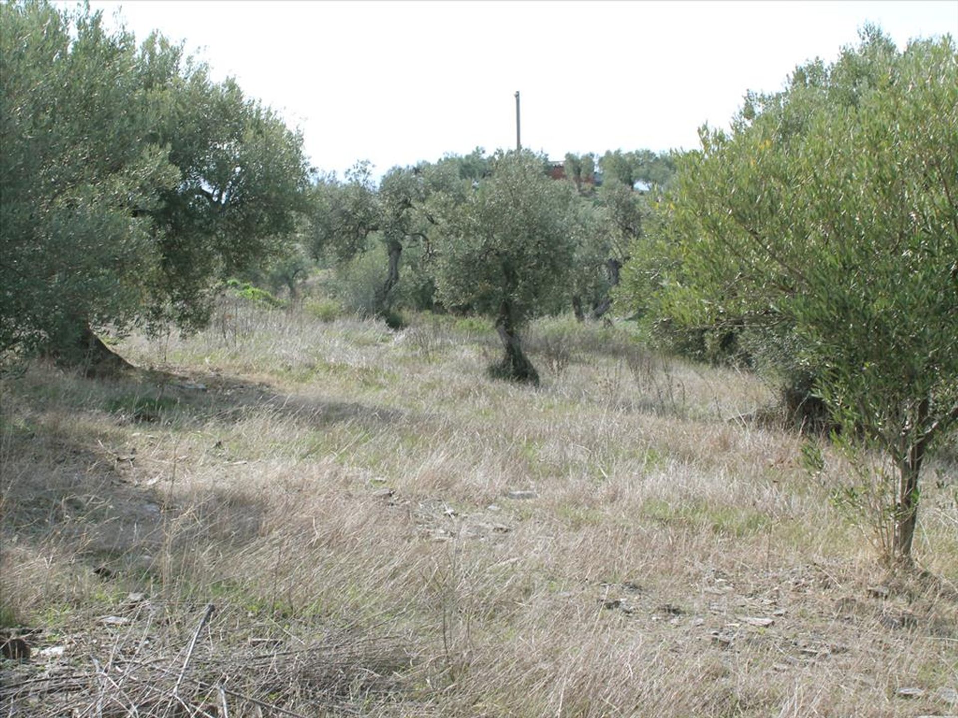 Land im Neos Marmaras, Kentriki Makedonia 11513444